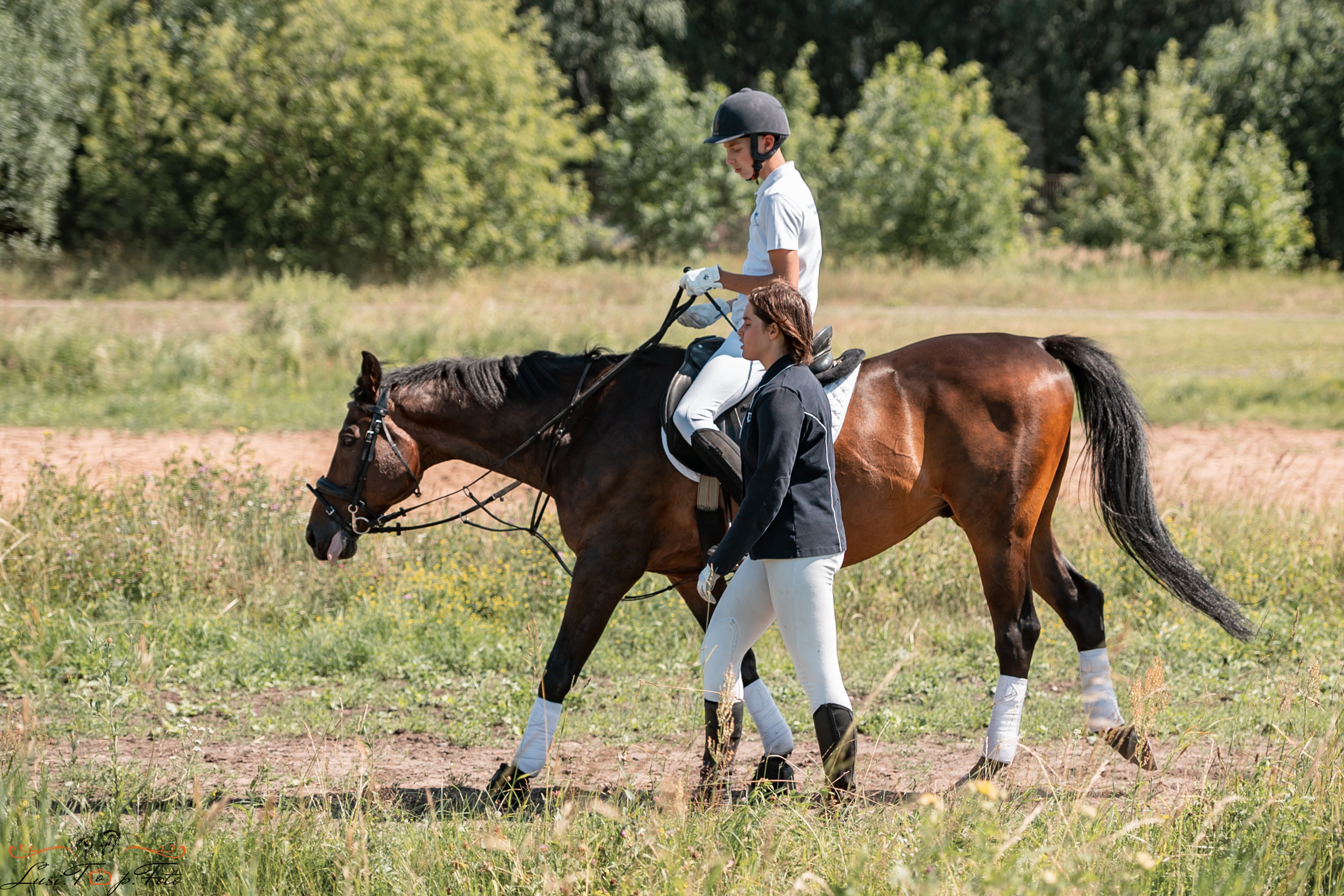 Первенство Тверской области по конкуру на Тверском ипподроме. Конный и фотограф с животными в Твери Топталова Люся