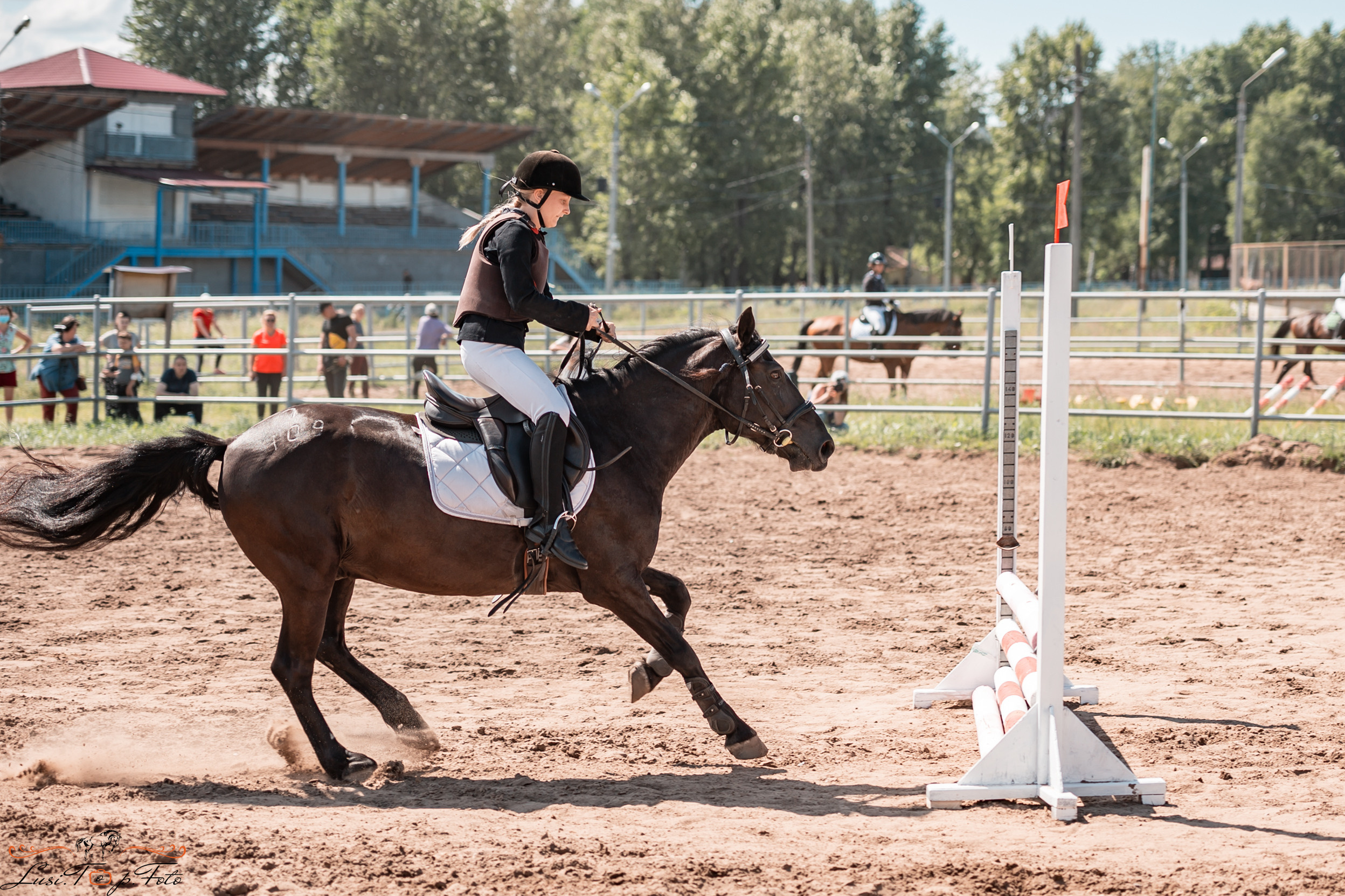 Первенство Тверской области по конкуру на Тверском ипподроме. Конный и фотограф с животными в Твери Топталова Люся