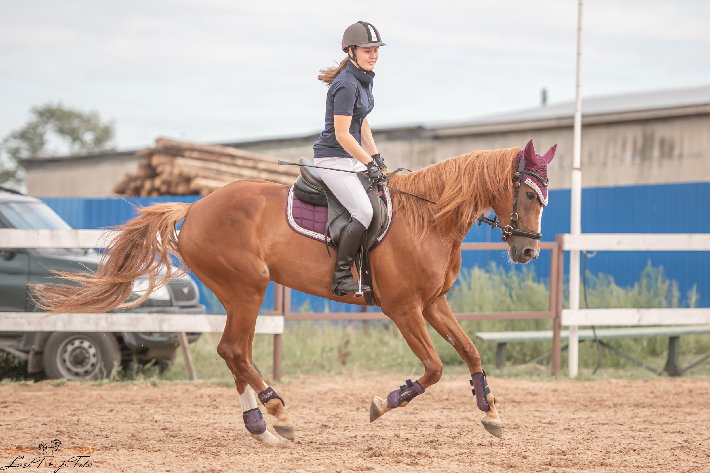 Открытая тренировка по выездке и конкуру в КК Резвая. Конный и фотограф с животными в Твери Топталова Люся