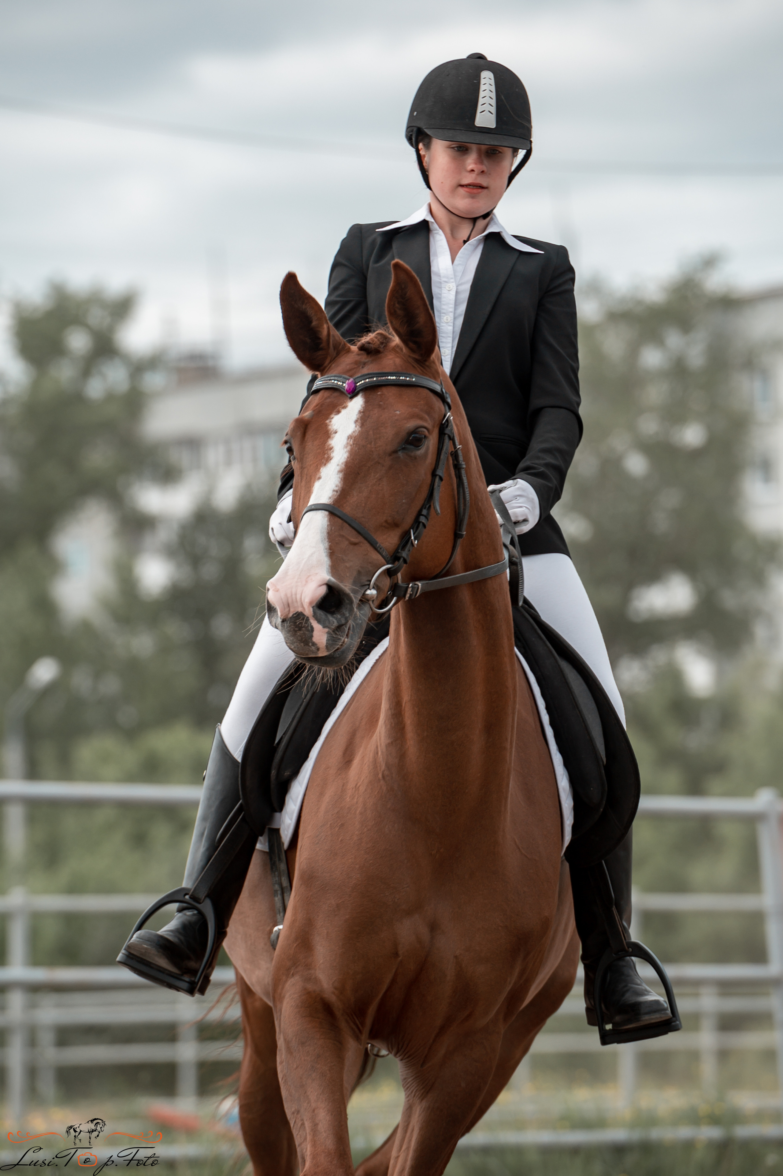 Чемпионат и первенство Тверской области по выездке. Конный и фотограф с животными в Твери Топталова Люся