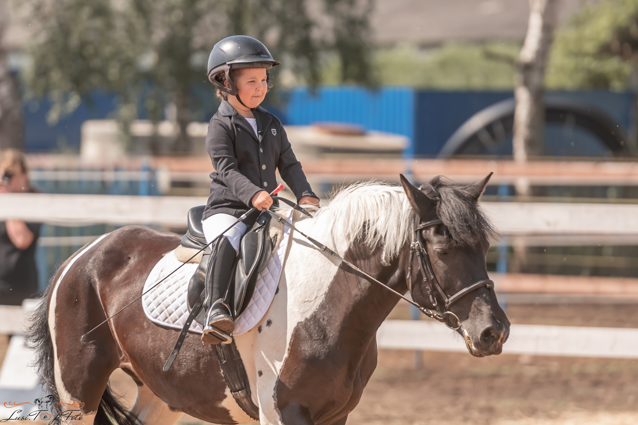 Открытая тренировка по выездке и конкуру в КК Резвая. Конный и фотограф с животными в Твери Топталова Люся