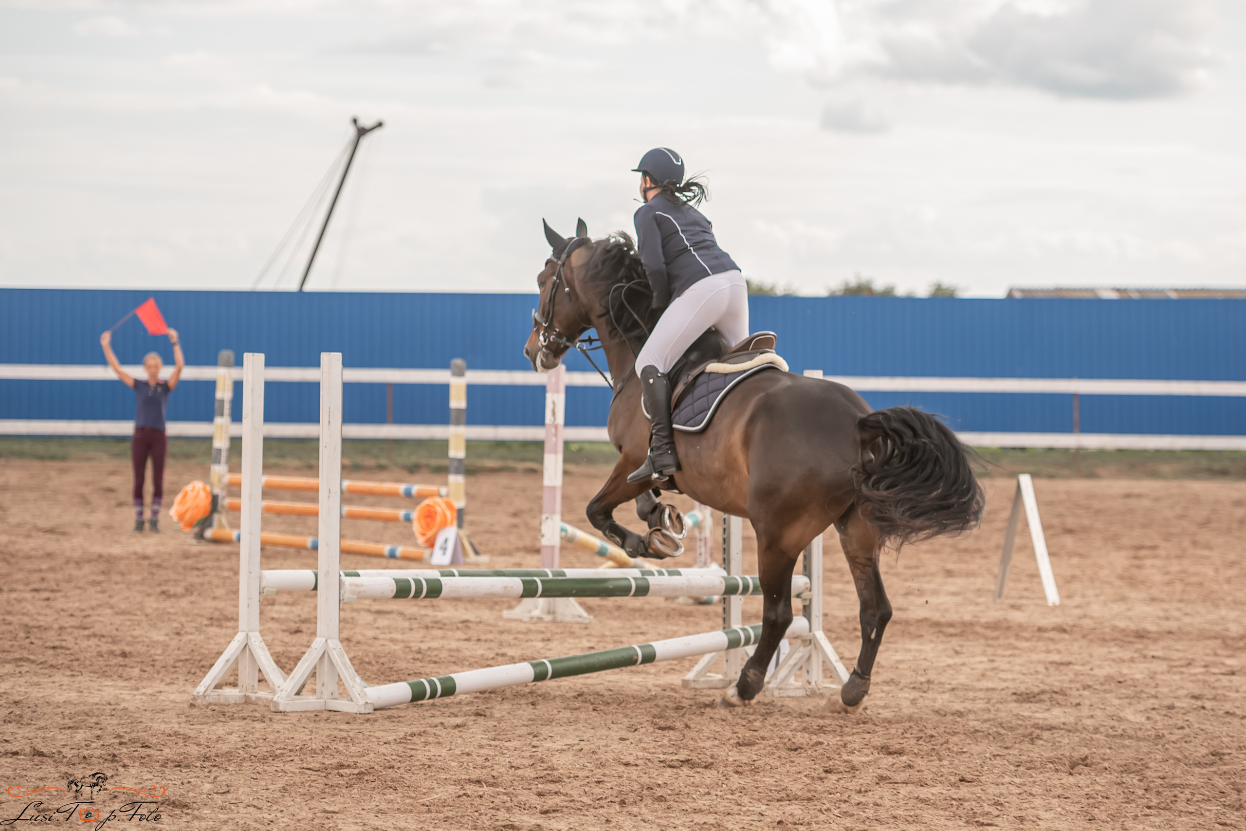 Открытая тренировка по выездке и конкуру в КК Резвая. Конный и фотограф с животными в Твери Топталова Люся