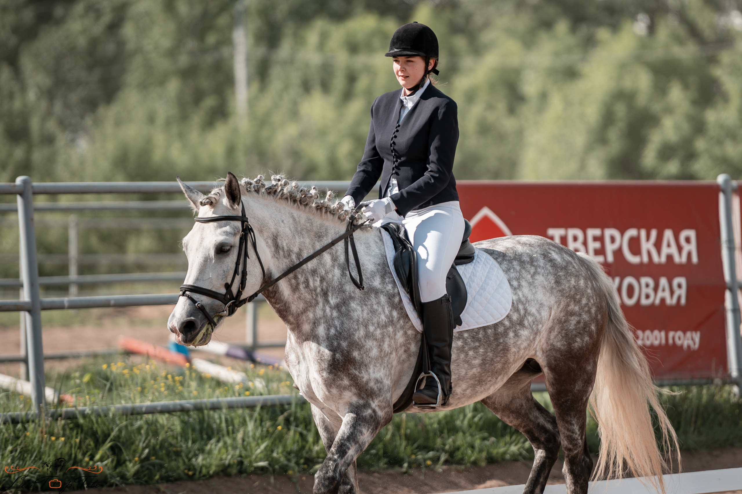 Чемпионат и первенство Тверской области по выездке. Конный и фотограф с животными в Твери Топталова Люся