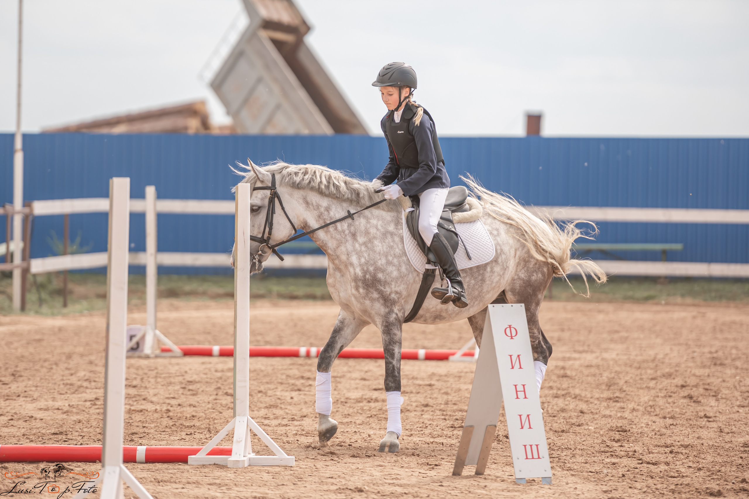Открытая тренировка по выездке и конкуру в КК Резвая. Конный и фотограф с животными в Твери Топталова Люся