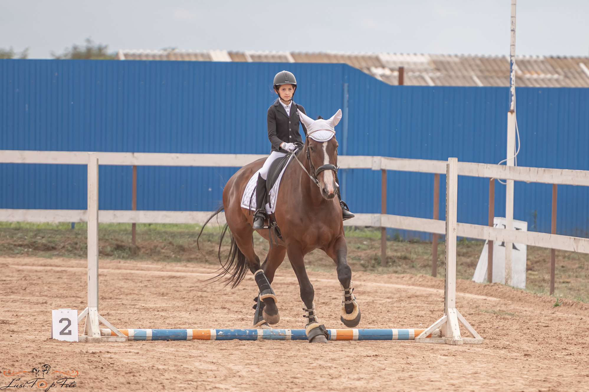 Открытая тренировка по выездке и конкуру в КК Резвая. Конный и фотограф с животными в Твери Топталова Люся