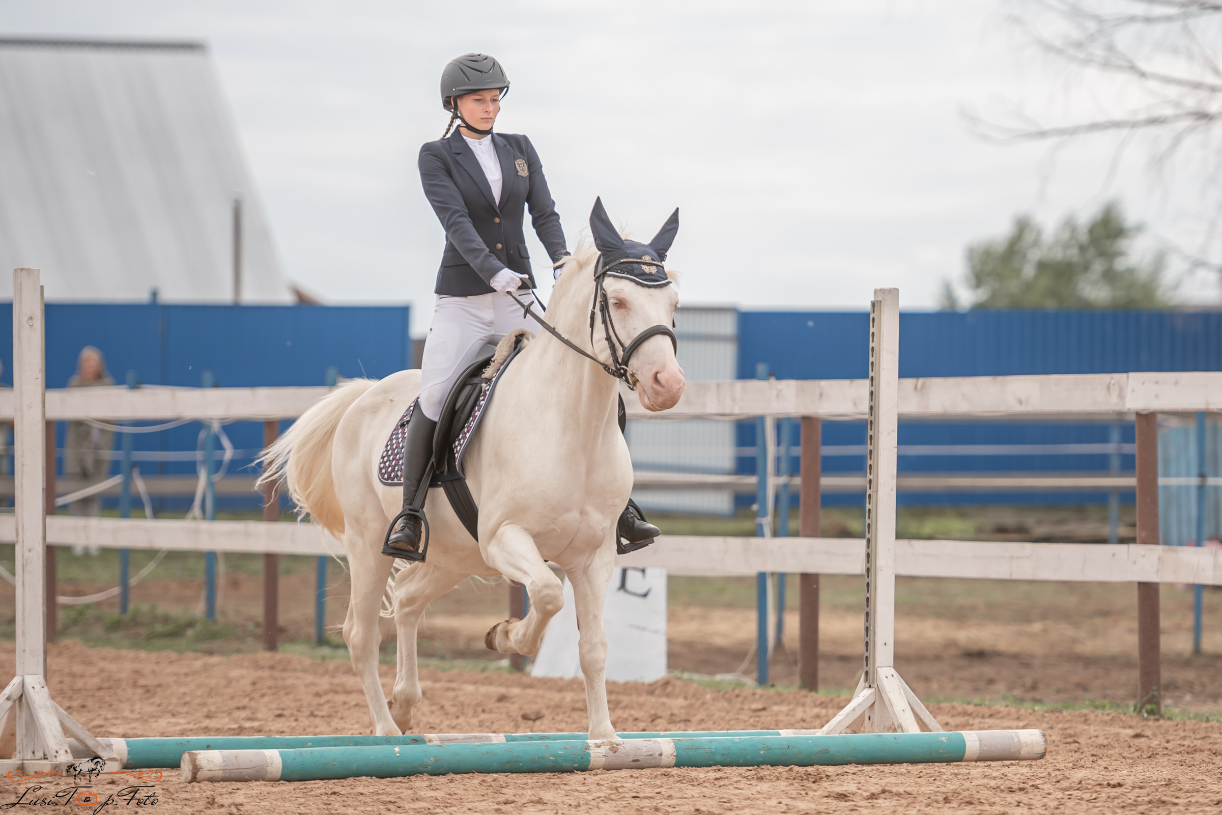 Открытая тренировка по выездке и конкуру в КК Резвая. Конный и фотограф с животными в Твери Топталова Люся