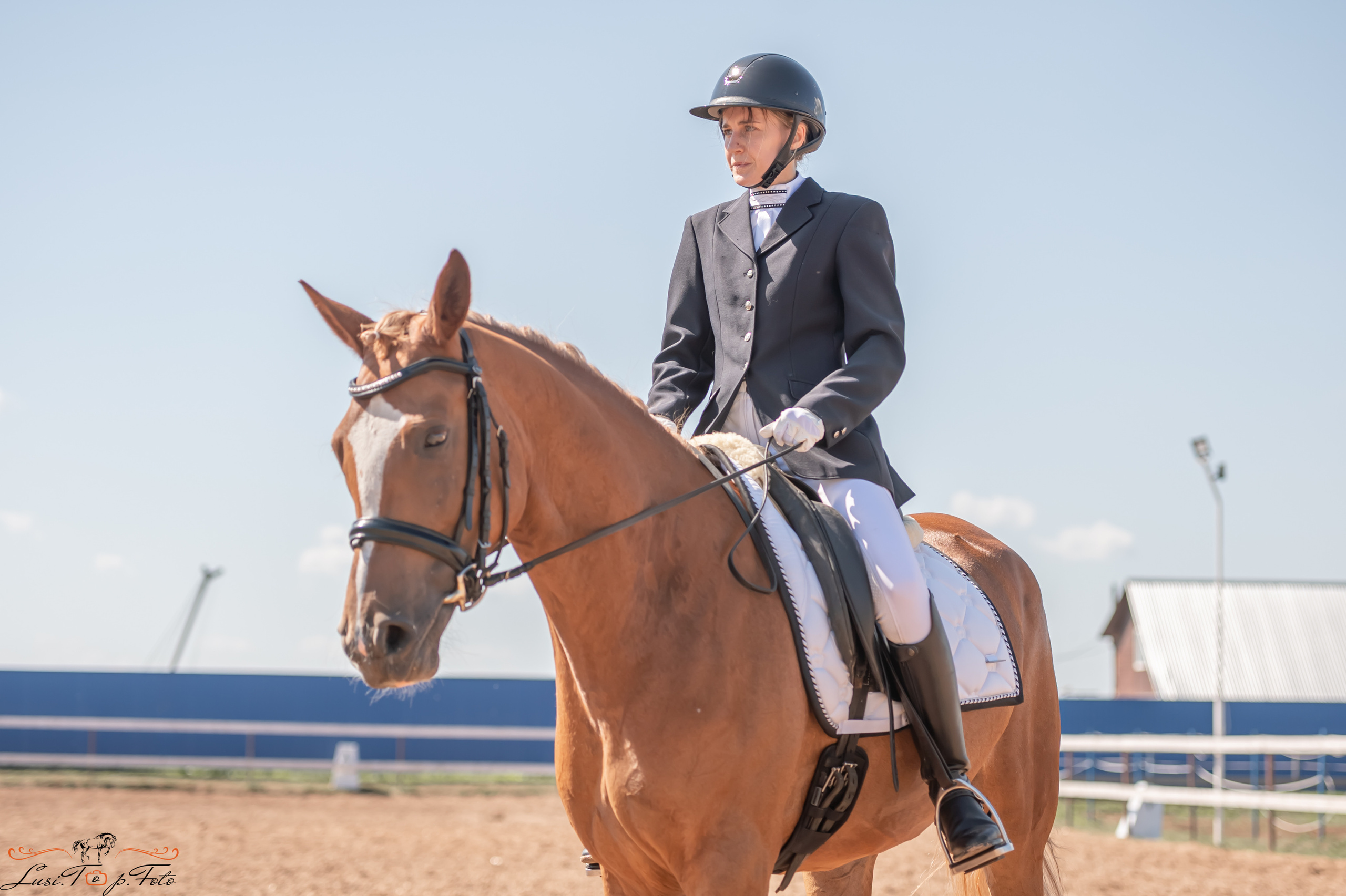 Открытая тренировка по выездке и конкуру в КК Резвая. Конный и фотограф с животными в Твери Топталова Люся
