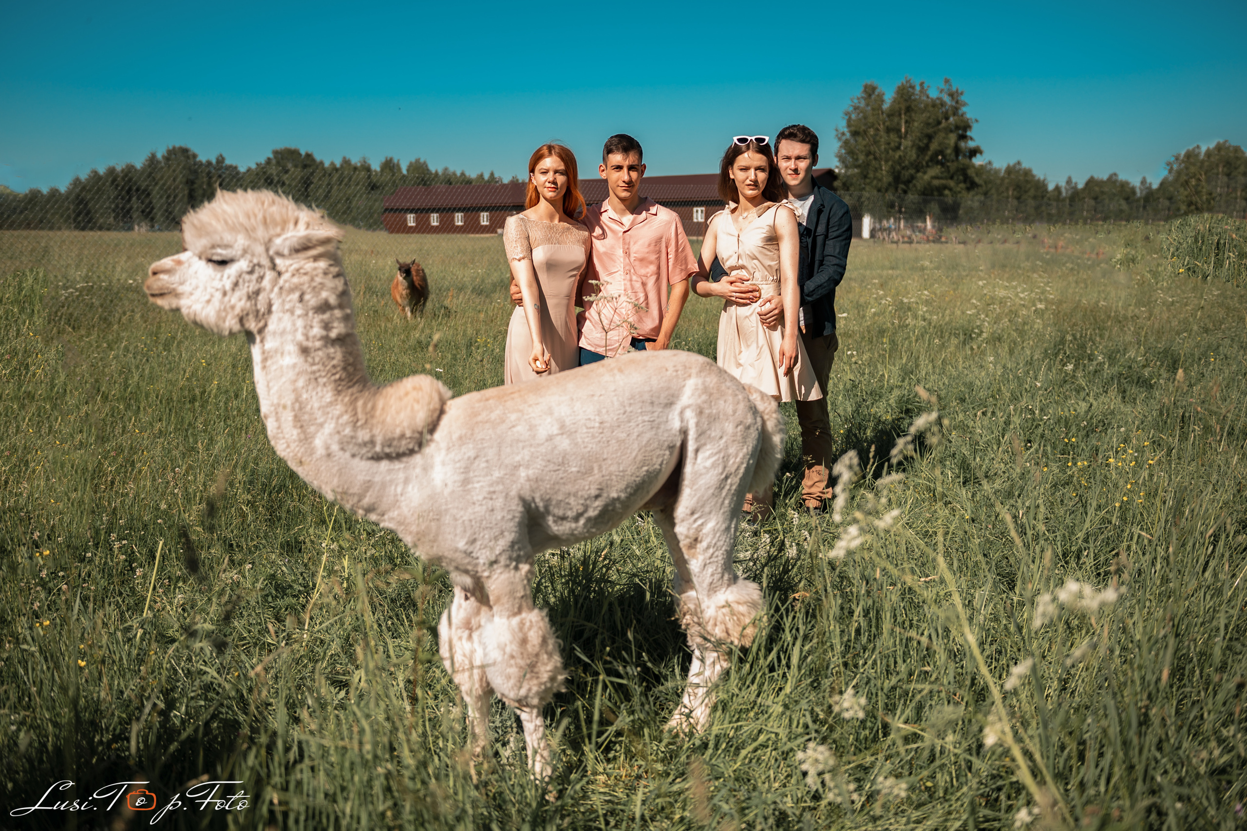 Оленья ферма. Конный и фотограф с животными в Твери Топталова Люся