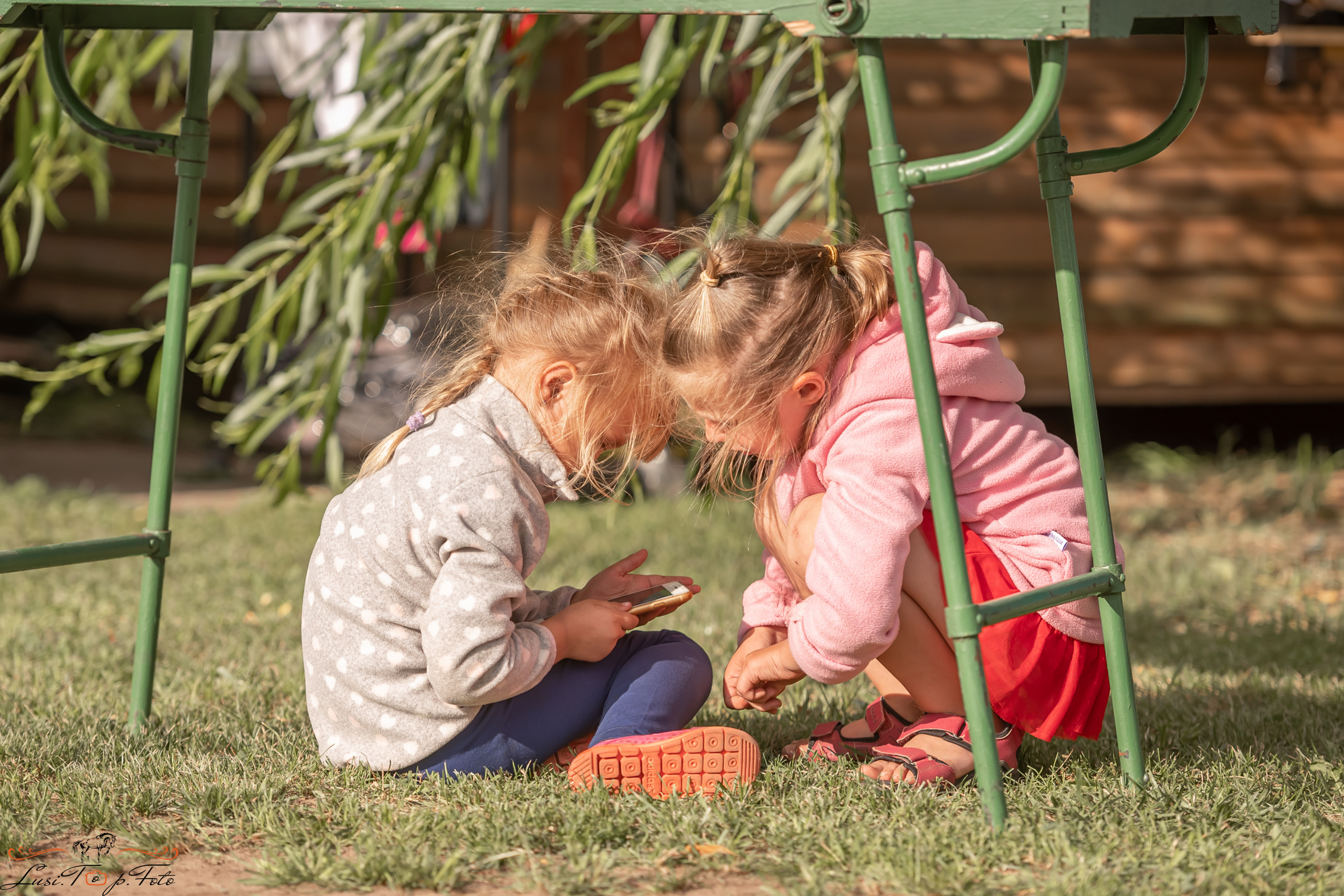 Открытая тренировка по выездке и конкуру в КК Резвая. Конный и фотограф с животными в Твери Топталова Люся