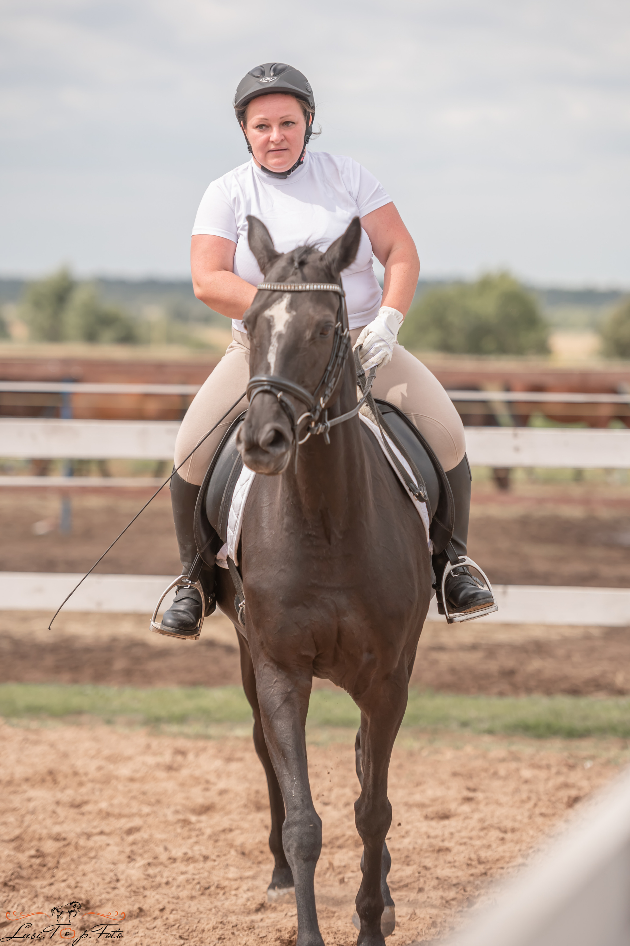Открытая тренировка по выездке и конкуру в КК Резвая. Конный и фотограф с животными в Твери Топталова Люся