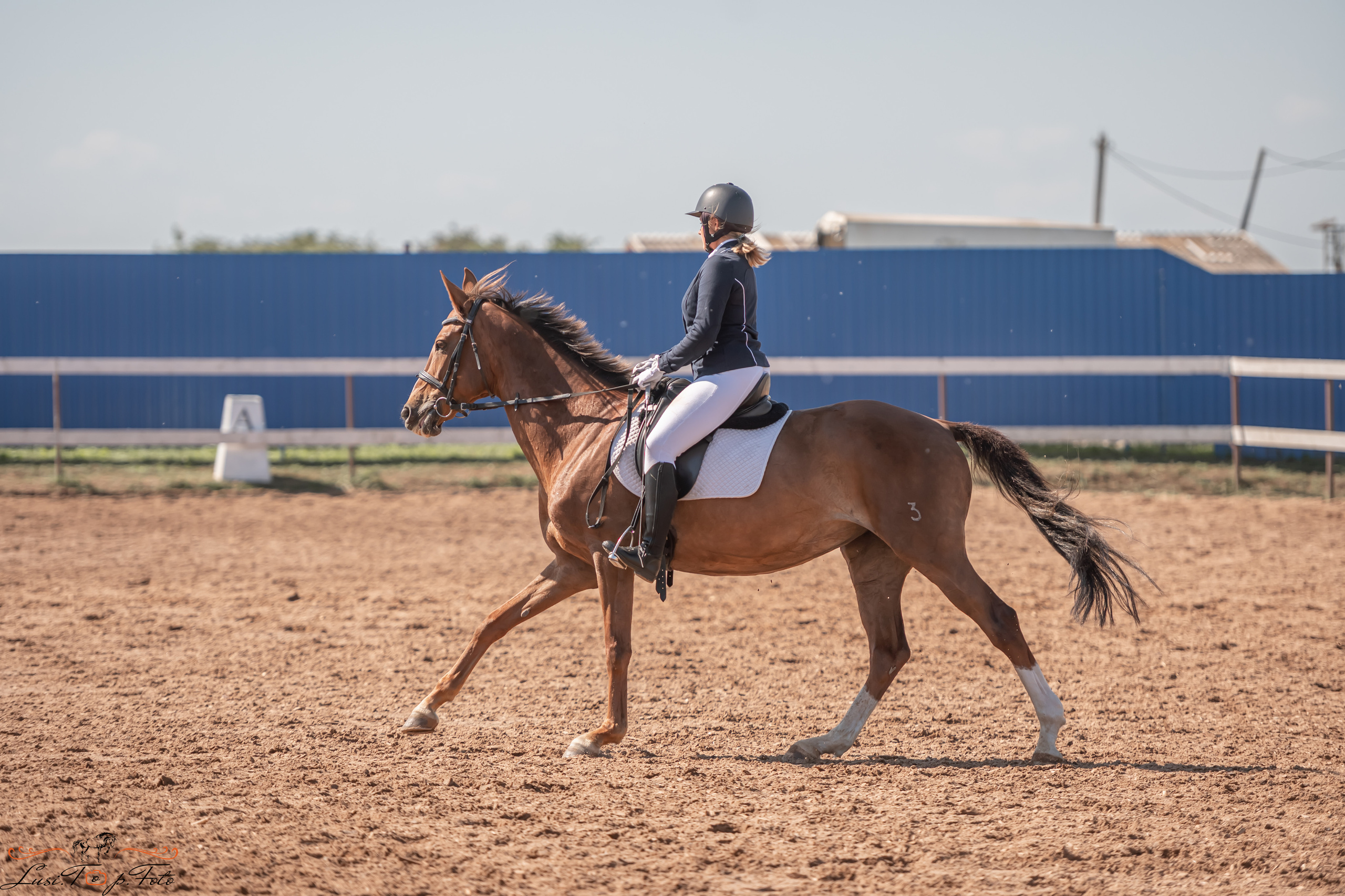 Открытая тренировка по выездке и конкуру в КК Резвая. Конный и фотограф с животными в Твери Топталова Люся