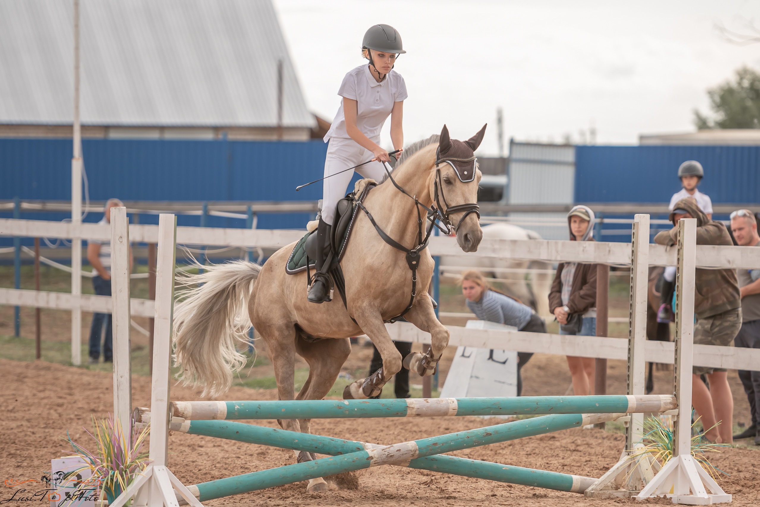 Открытая тренировка по выездке и конкуру в КК Резвая. Конный и фотограф с животными в Твери Топталова Люся