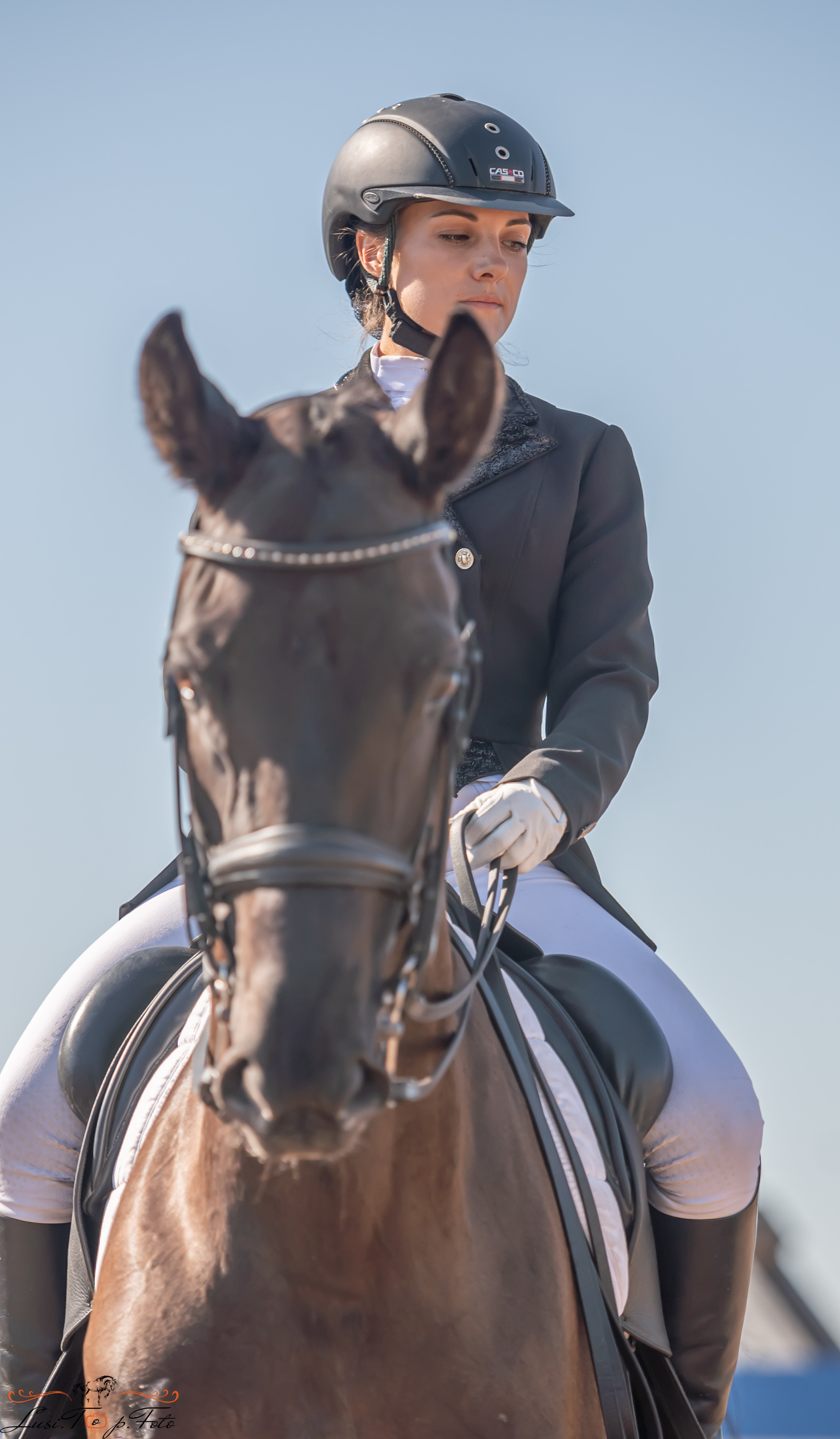 Открытая тренировка по выездке и конкуру в КК Резвая. Конный и фотограф с животными в Твери Топталова Люся