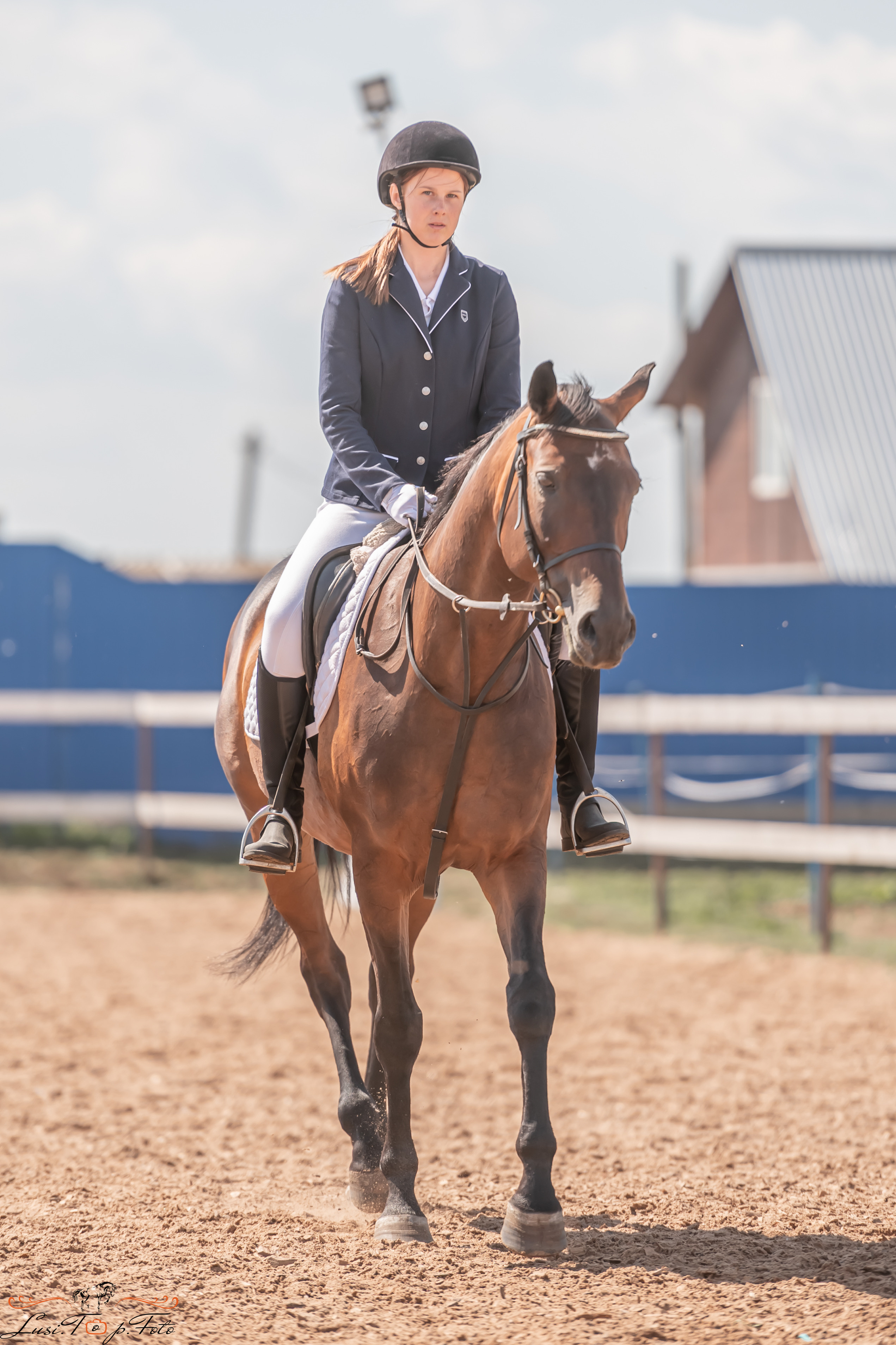 Открытая тренировка по выездке и конкуру в КК Резвая. Конный и фотограф с животными в Твери Топталова Люся