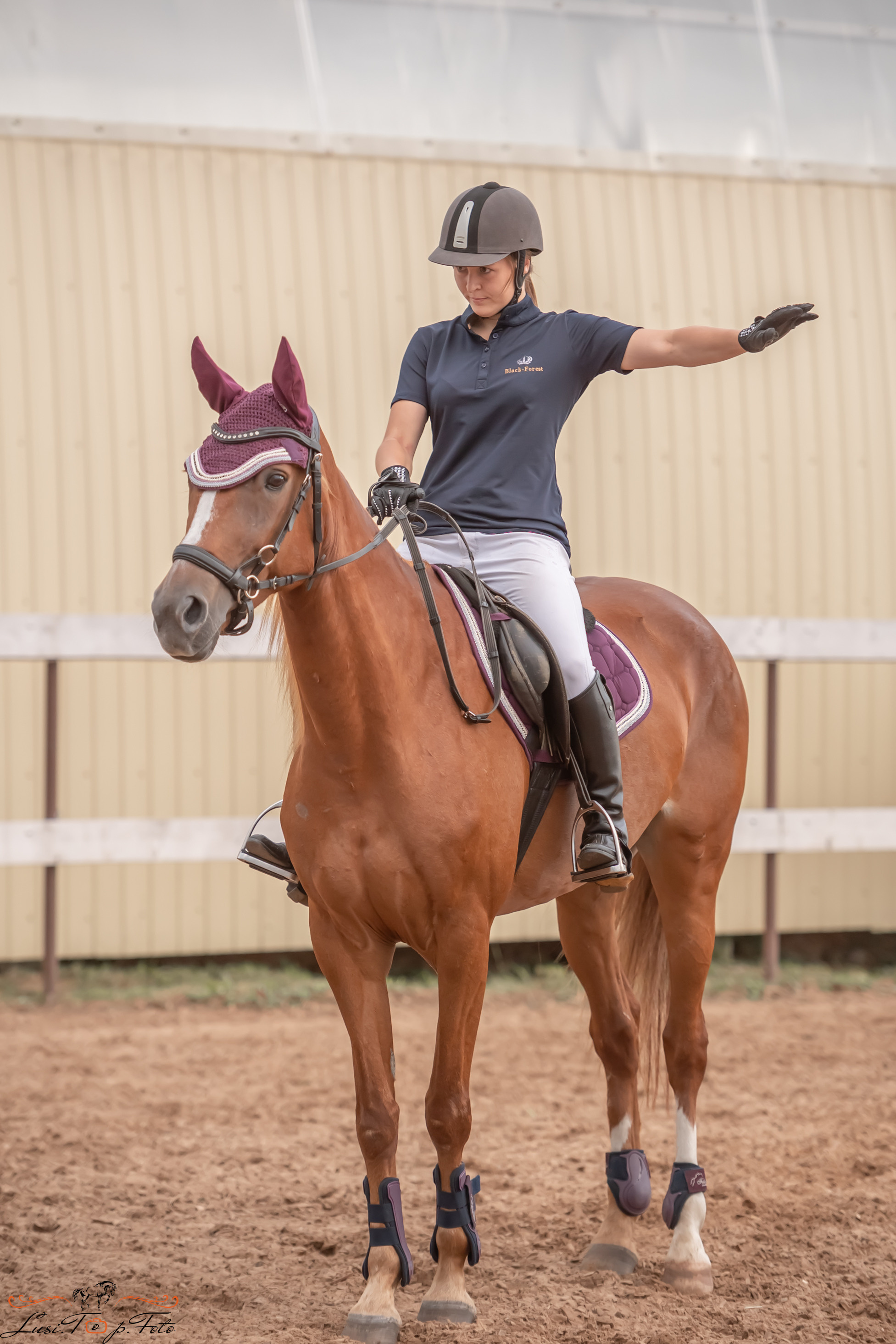 Открытая тренировка по выездке и конкуру в КК Резвая. Конный и фотограф с животными в Твери Топталова Люся