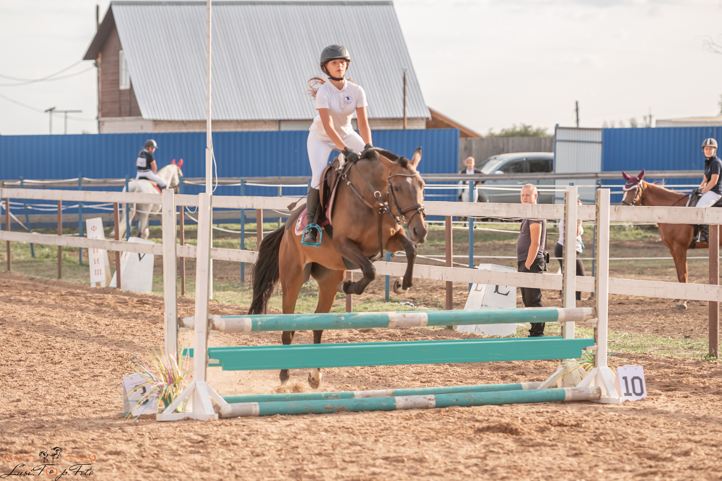 Открытая тренировка по выездке и конкуру в КК Резвая. Конный и фотограф с животными в Твери Топталова Люся