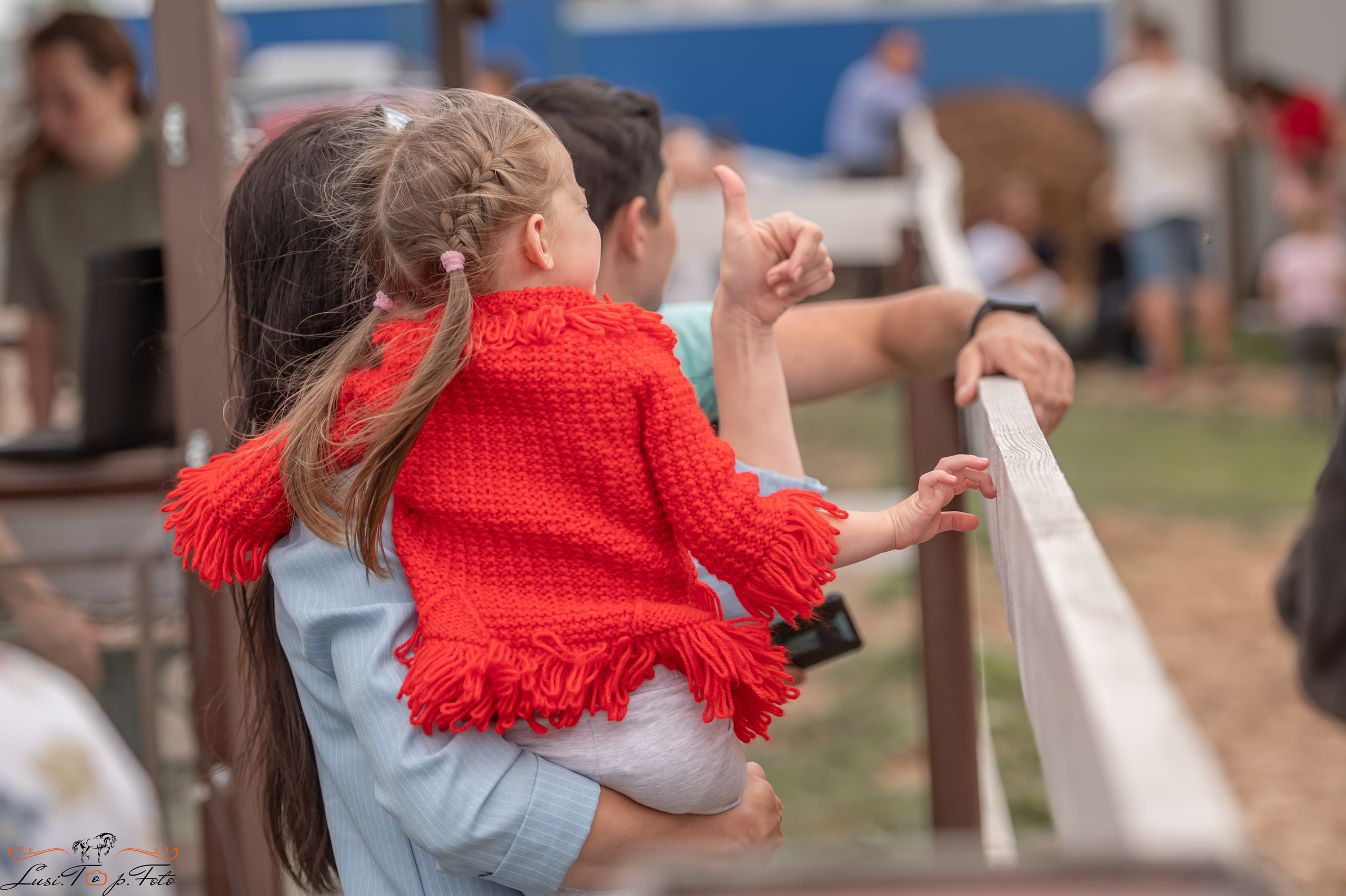 Открытая тренировка по выездке и конкуру в КК Резвая. Конный и фотограф с животными в Твери Топталова Люся