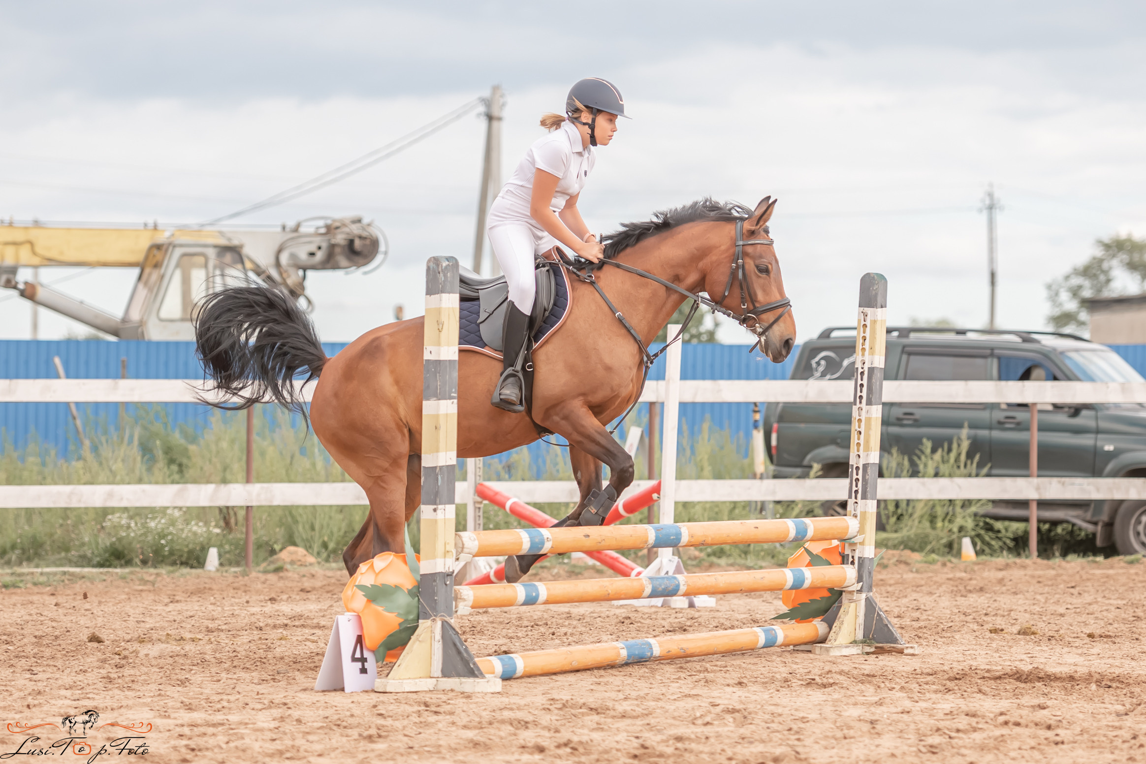 Открытая тренировка по выездке и конкуру в КК Резвая. Конный и фотограф с животными в Твери Топталова Люся