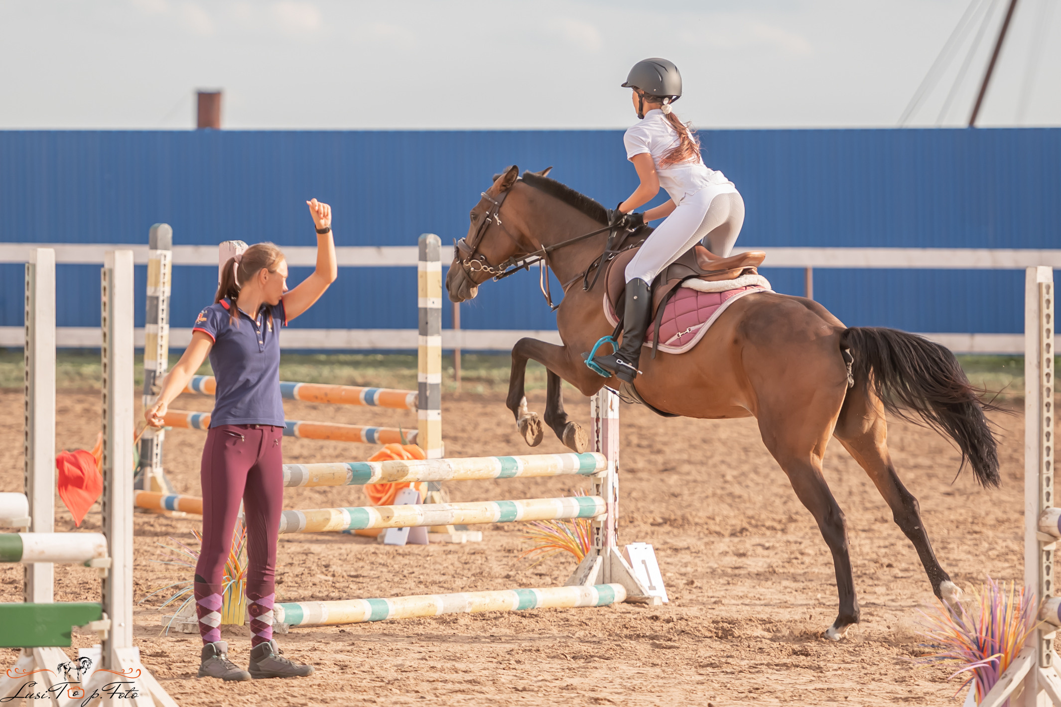 Открытая тренировка по выездке и конкуру в КК Резвая. Конный и фотограф с животными в Твери Топталова Люся