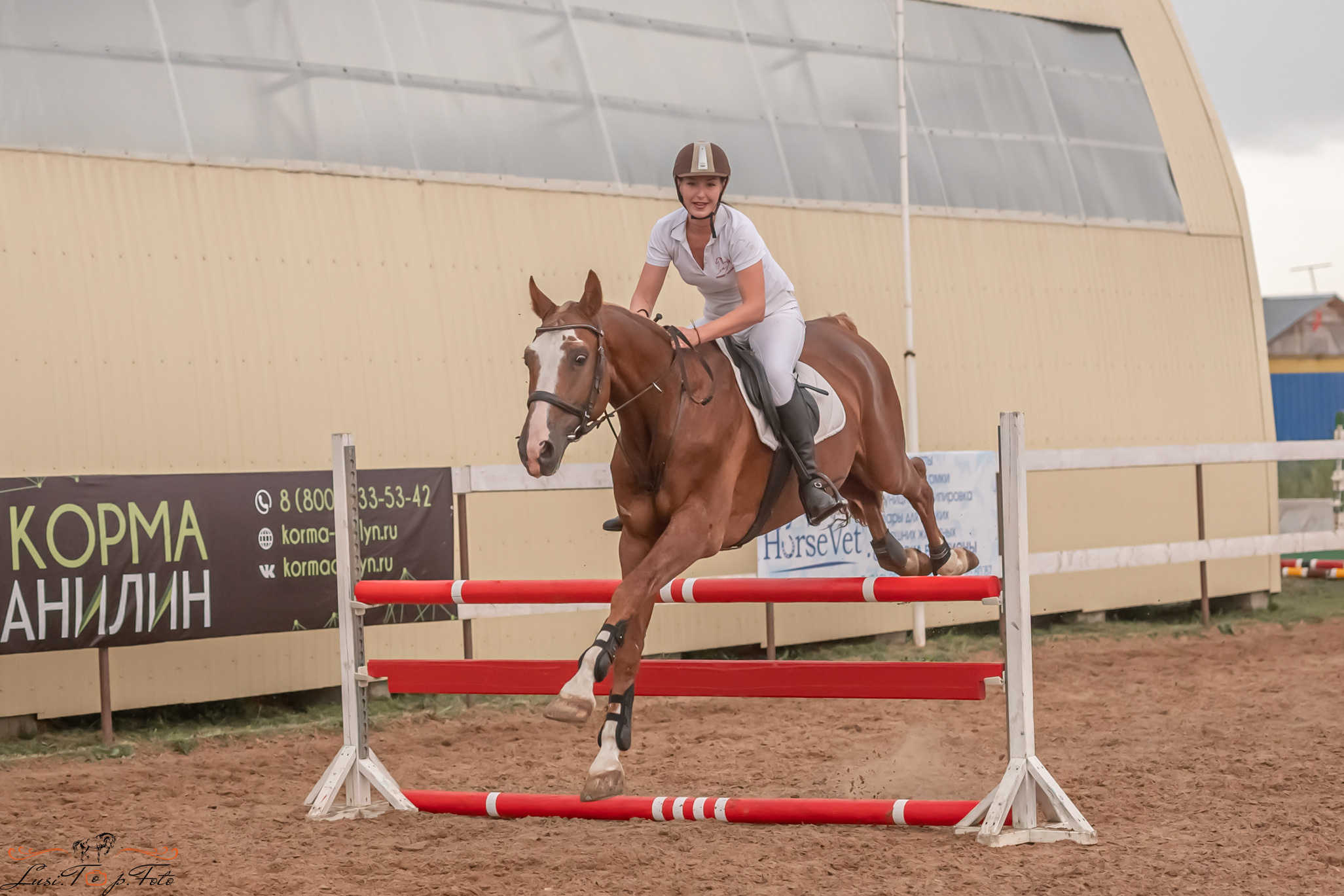 Открытая тренировка по выездке и конкуру в КК Резвая. Конный и фотограф с животными в Твери Топталова Люся