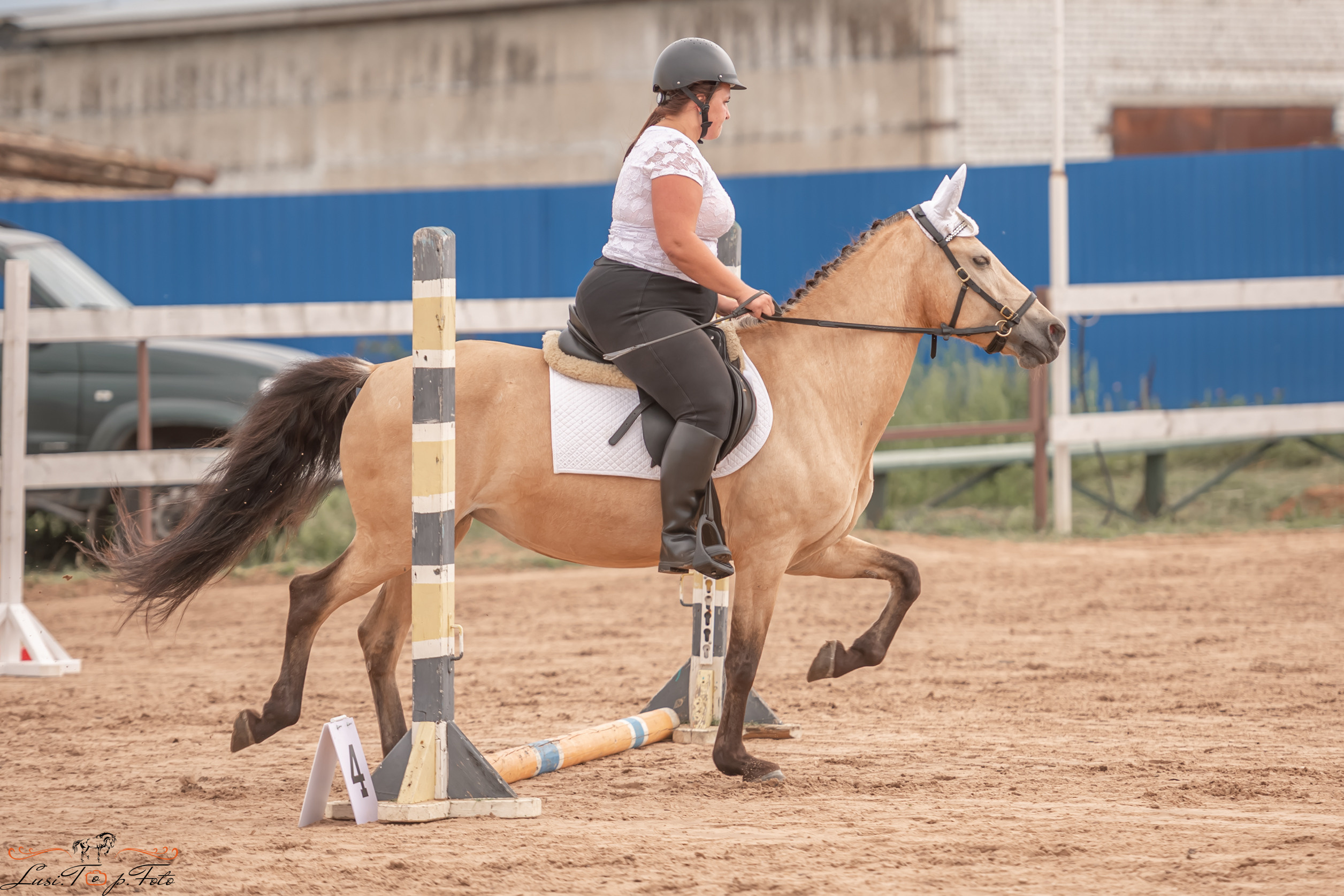 Открытая тренировка по выездке и конкуру в КК Резвая. Конный и фотограф с животными в Твери Топталова Люся