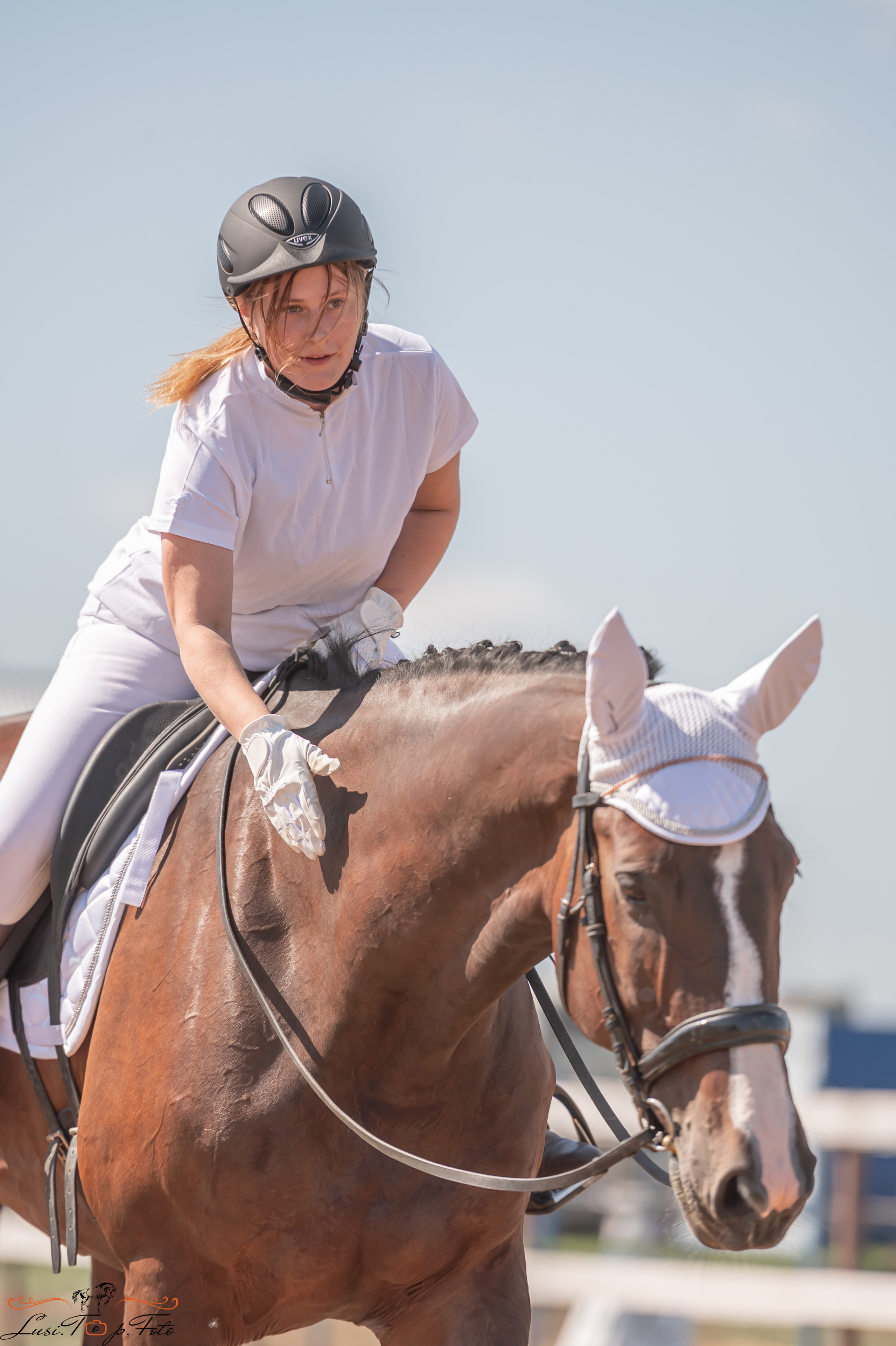 Открытая тренировка по выездке и конкуру в КК Резвая. Конный и фотограф с животными в Твери Топталова Люся