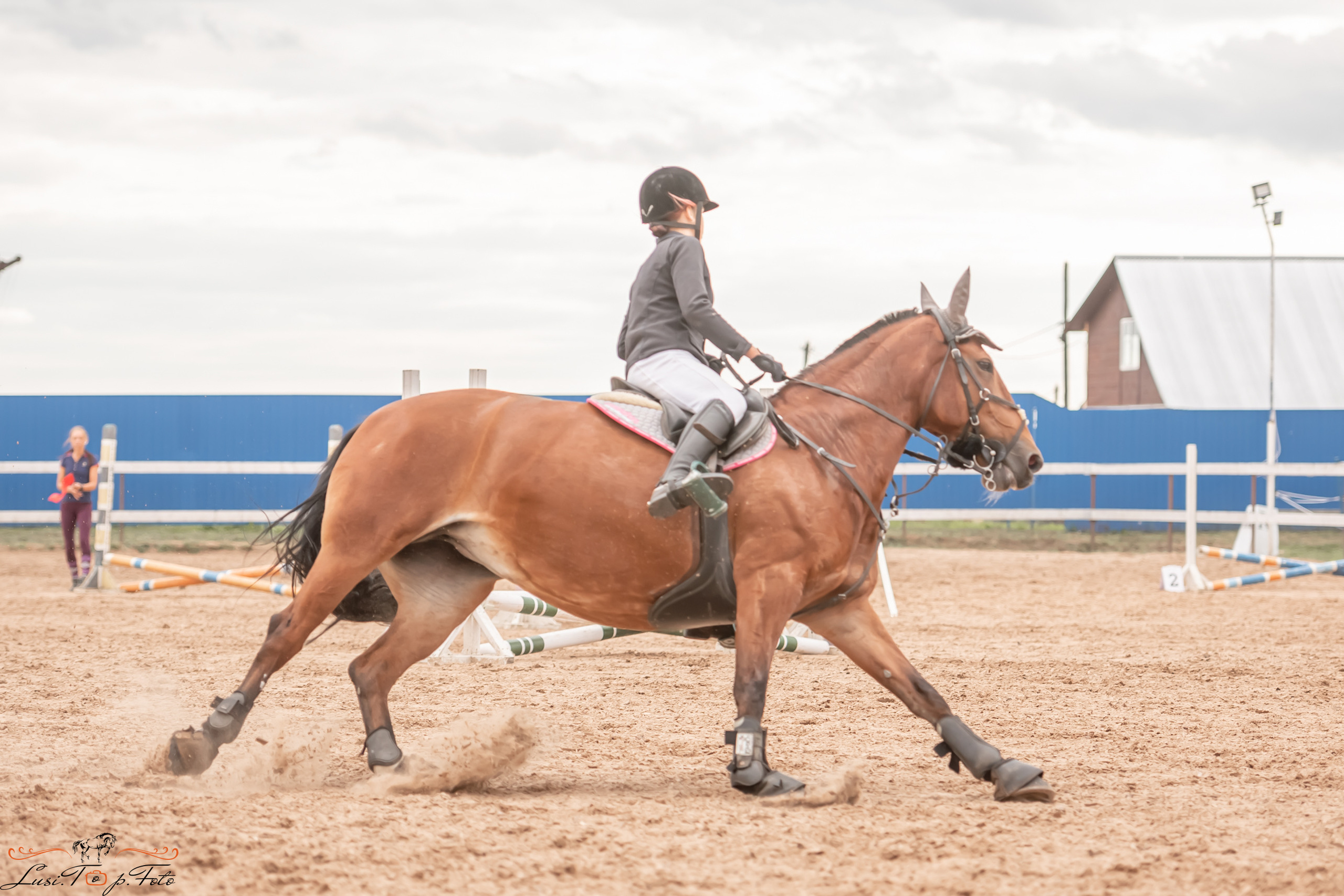 Открытая тренировка по выездке и конкуру в КК Резвая. Конный и фотограф с животными в Твери Топталова Люся