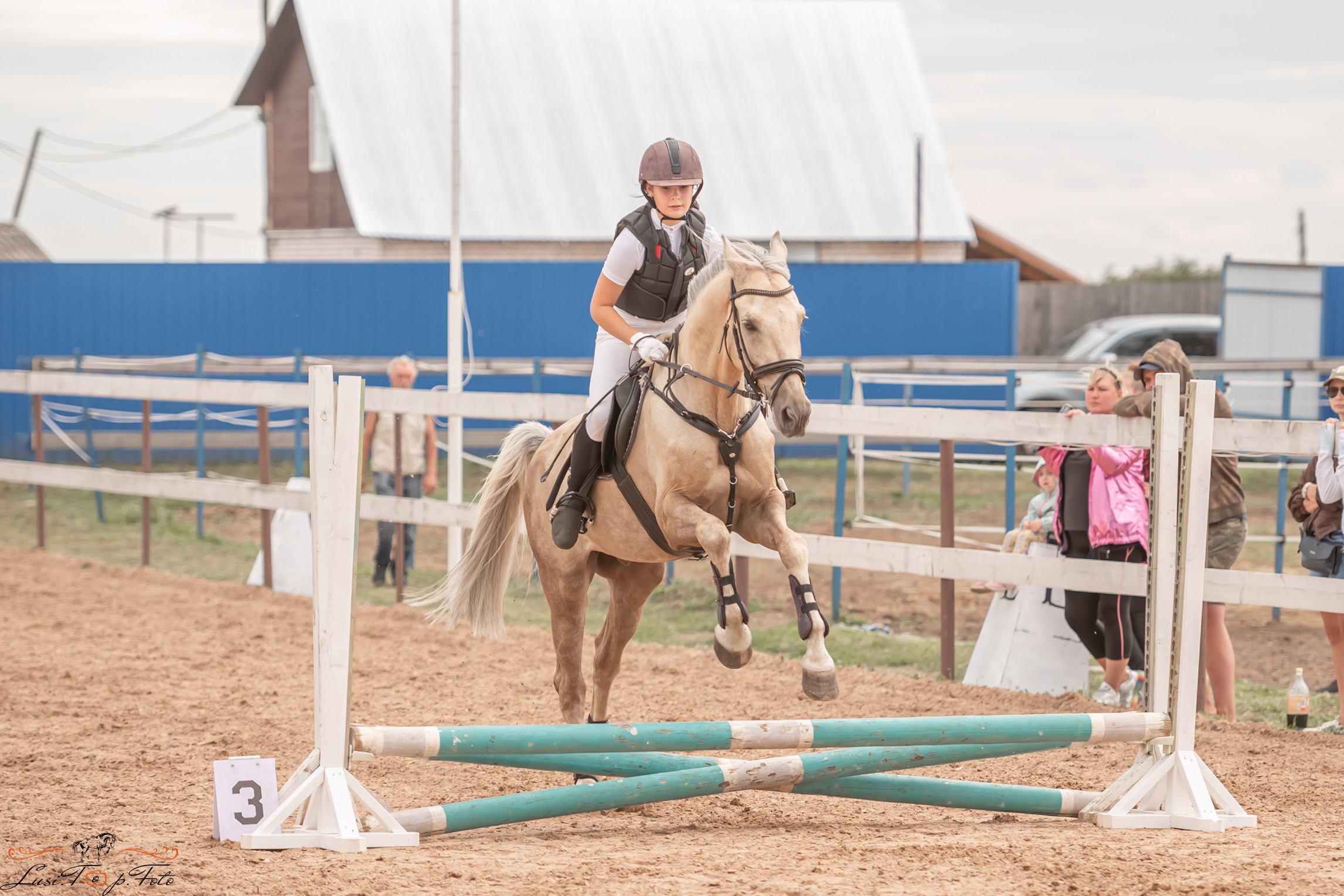 Открытая тренировка по выездке и конкуру в КК Резвая. Конный и фотограф с животными в Твери Топталова Люся