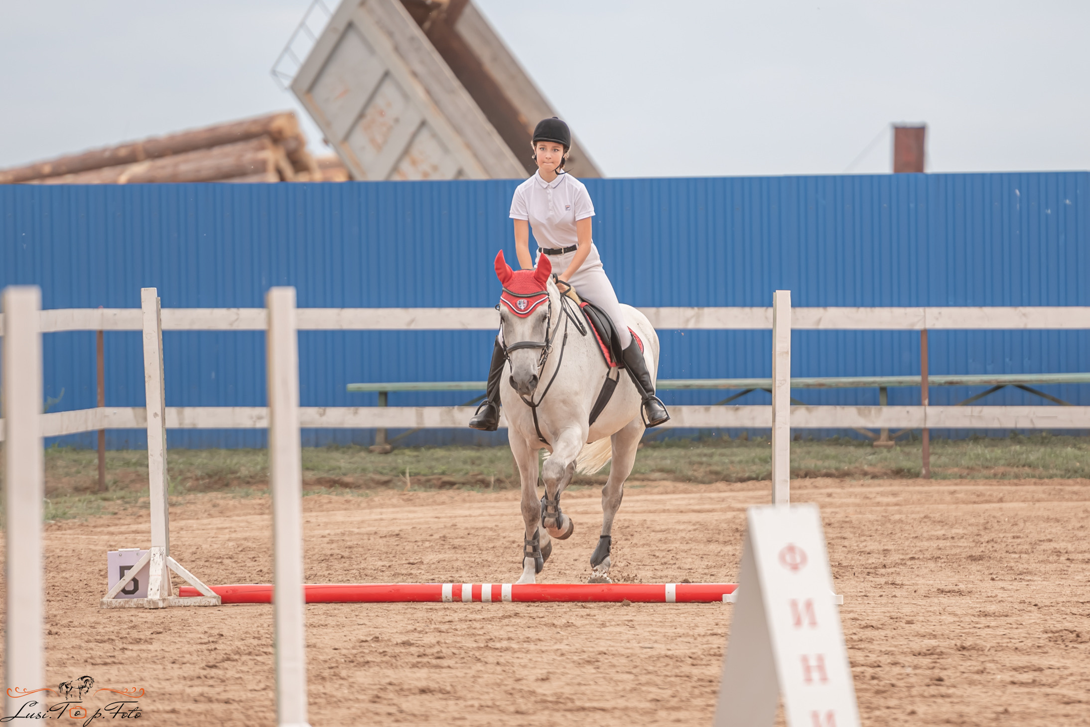Открытая тренировка по выездке и конкуру в КК Резвая. Конный и фотограф с животными в Твери Топталова Люся