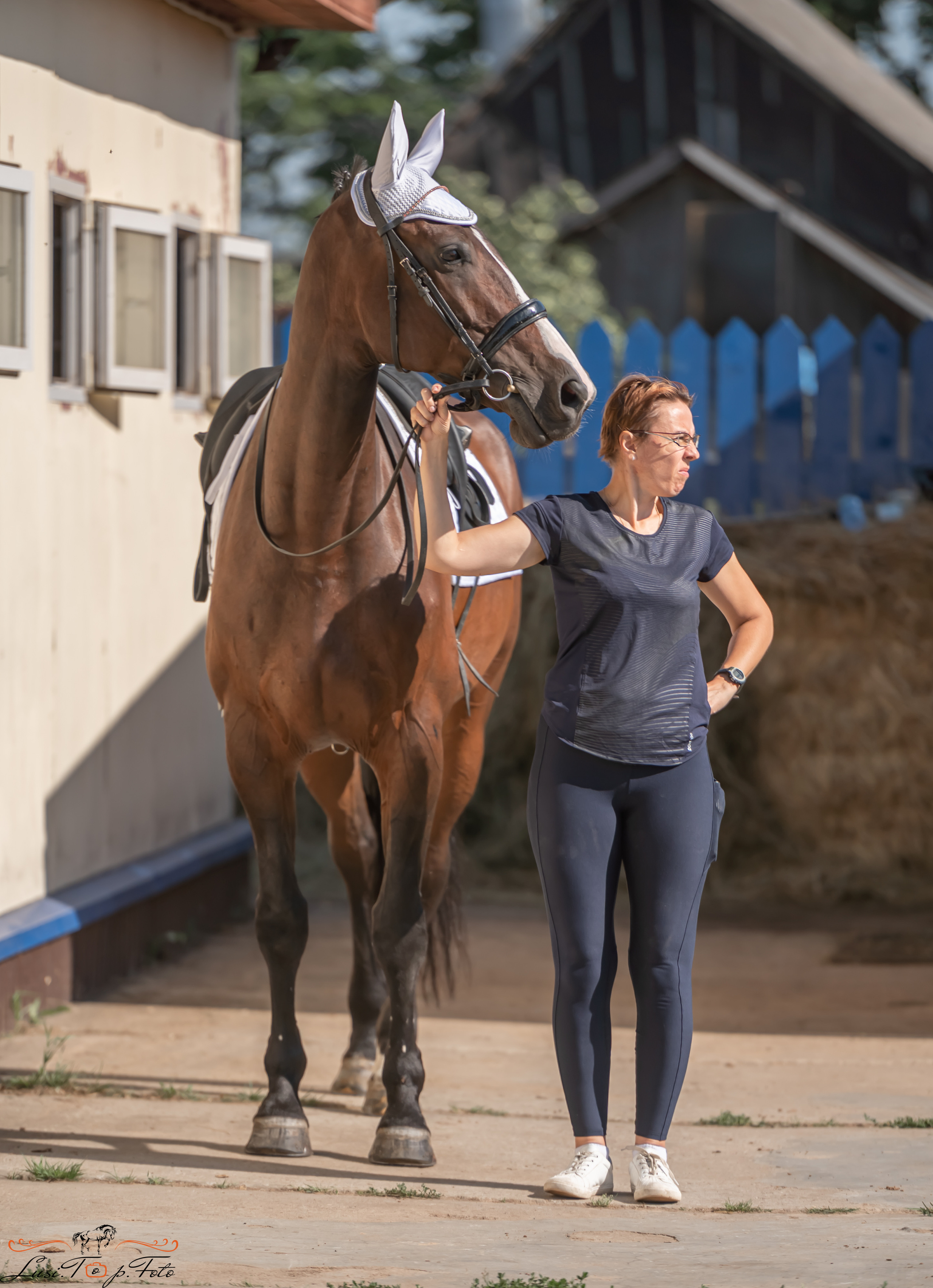 Открытая тренировка по выездке и конкуру в КК Резвая. Конный и фотограф с животными в Твери Топталова Люся