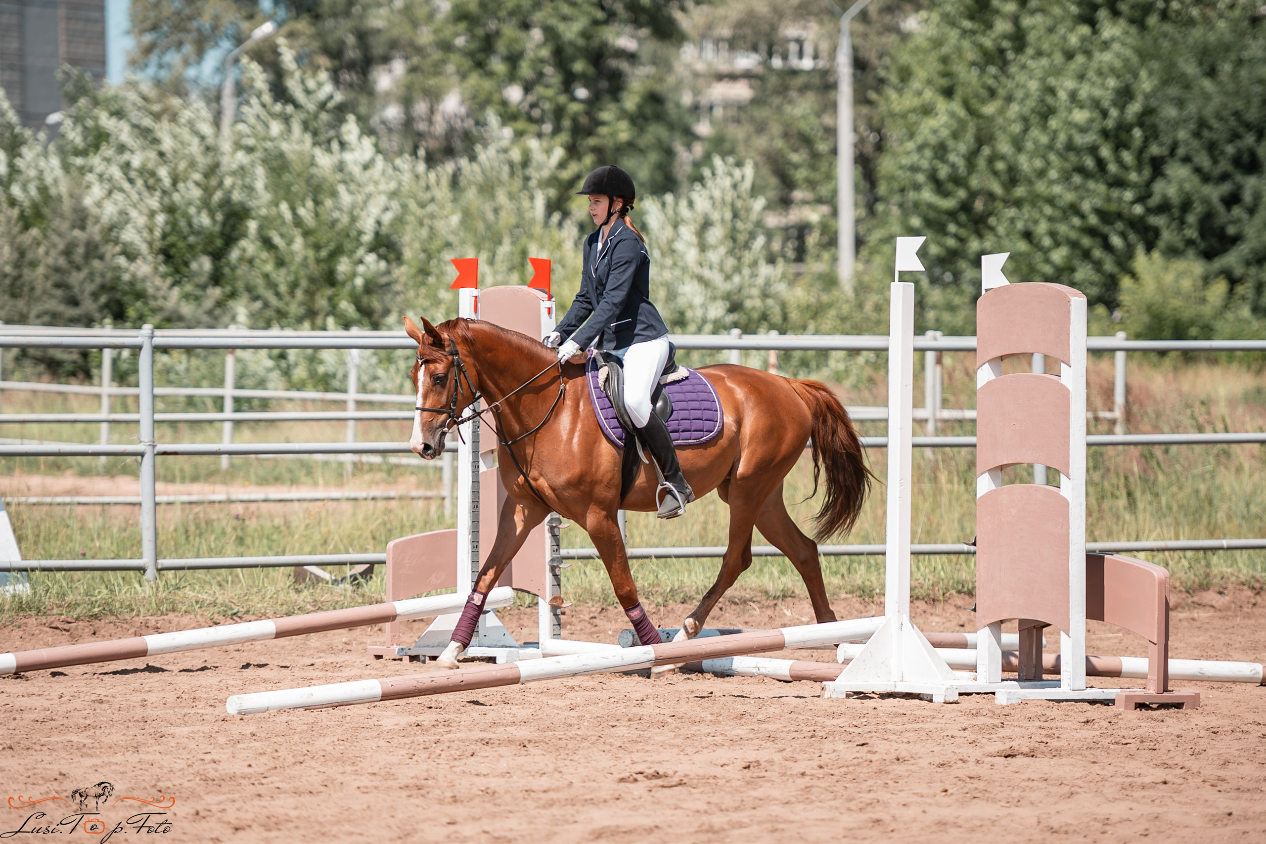 Первенство Тверской области по конкуру на Тверском ипподроме. Конный и фотограф с животными в Твери Топталова Люся