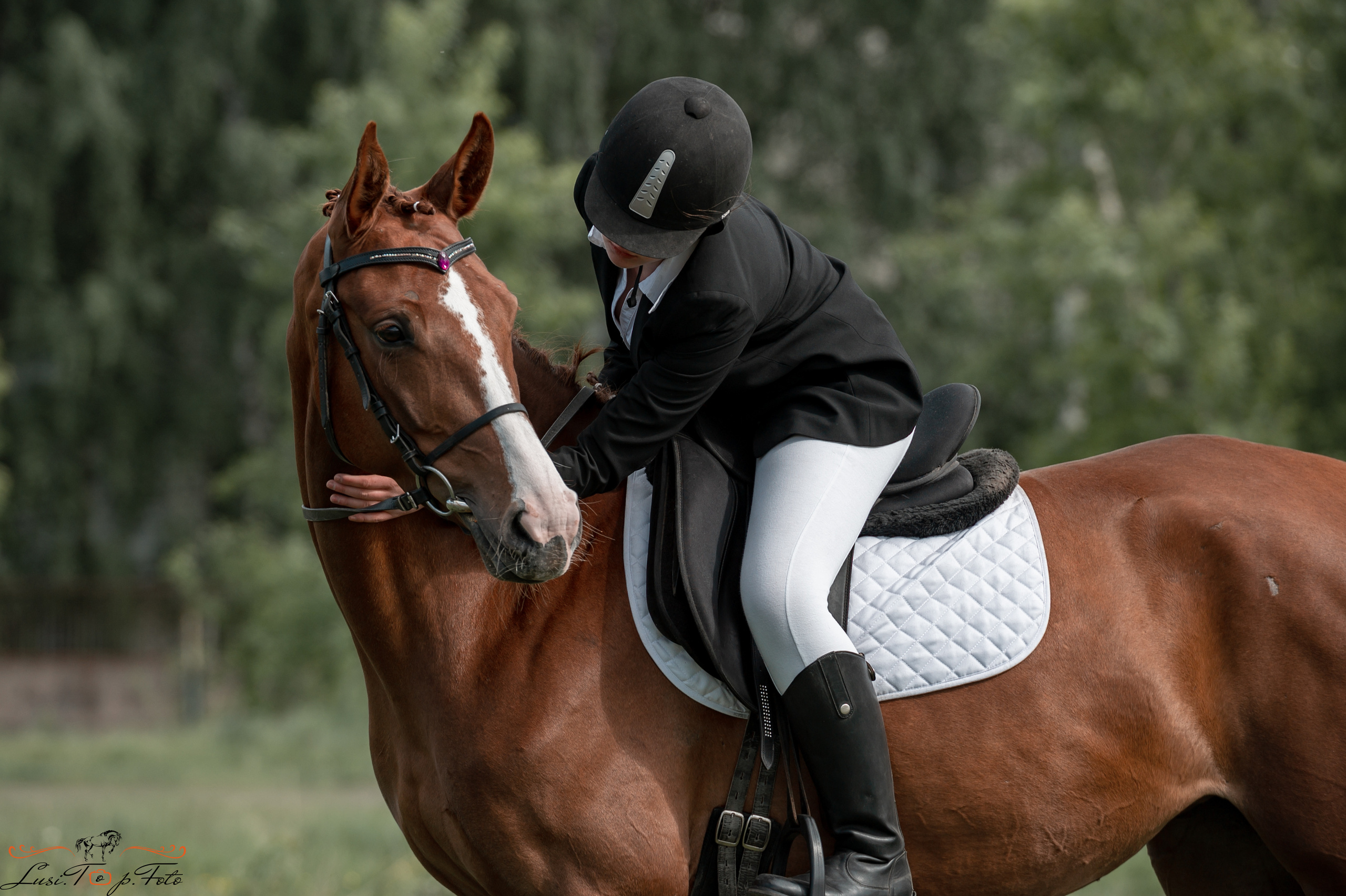 Чемпионат и первенство Тверской области по выездке. Конный и фотограф с животными в Твери Топталова Люся