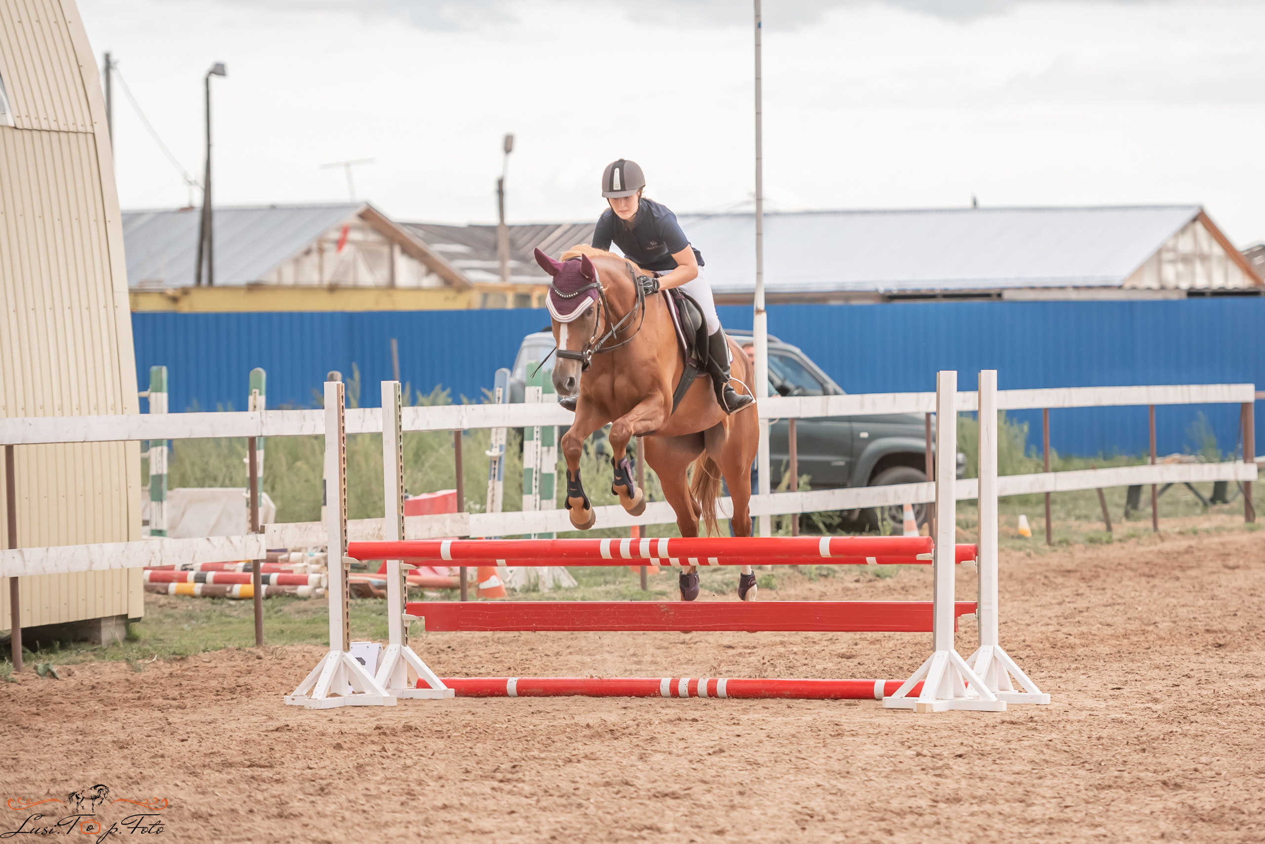 Открытая тренировка по выездке и конкуру в КК Резвая. Конный и фотограф с животными в Твери Топталова Люся