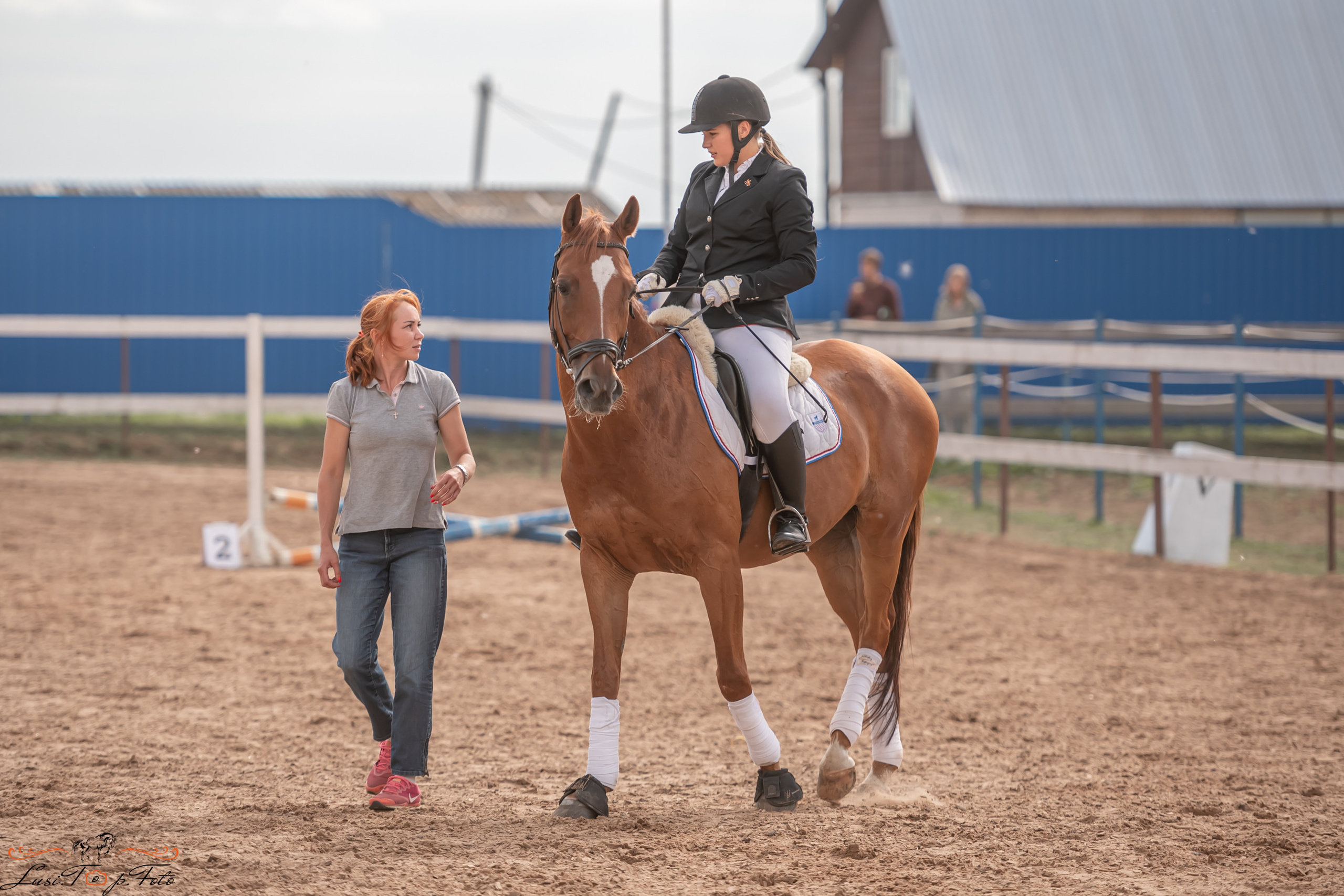 Открытая тренировка по выездке и конкуру в КК Резвая. Конный и фотограф с животными в Твери Топталова Люся