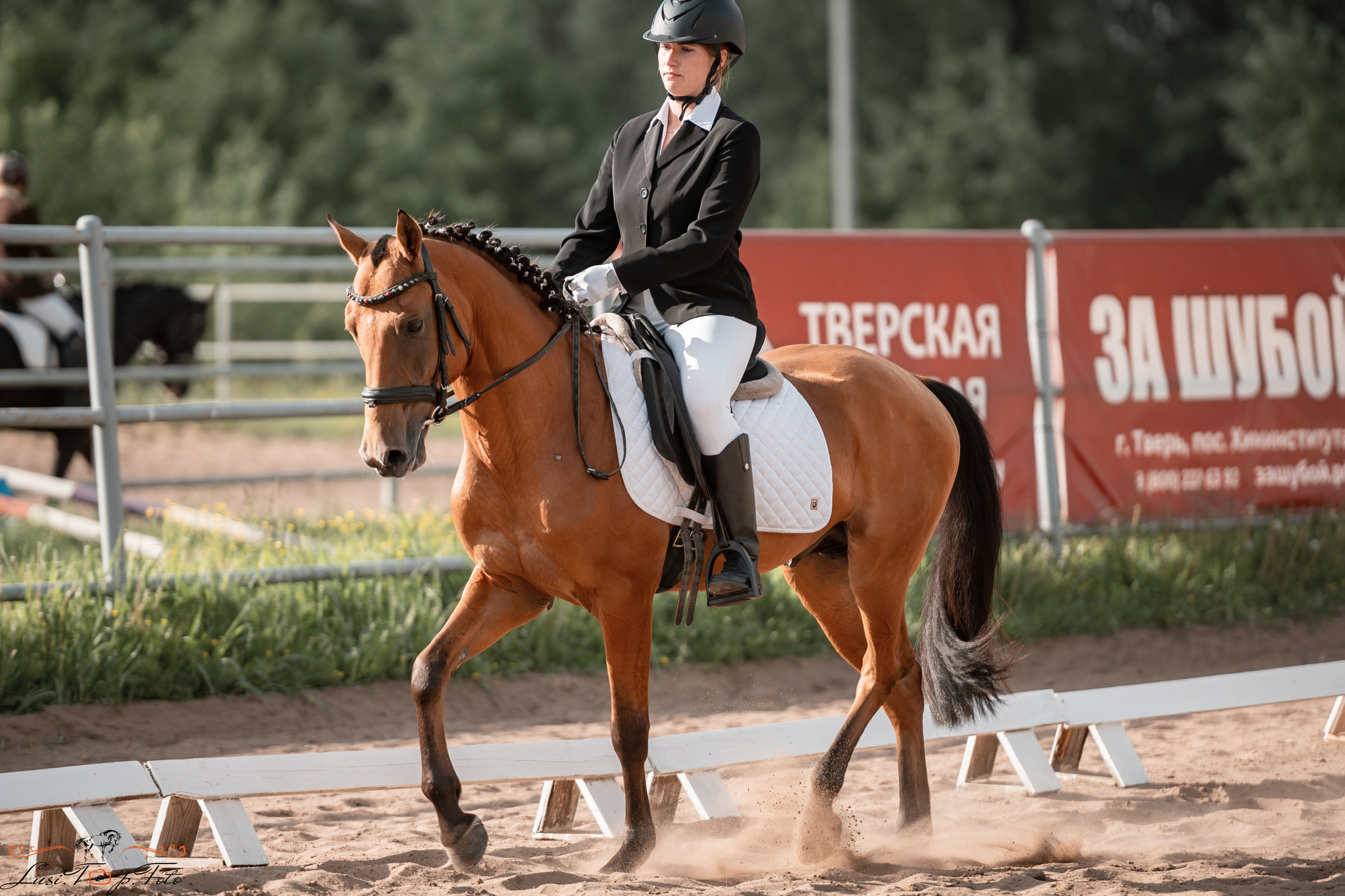 Чемпионат и первенство Тверской области по выездке. Конный и фотограф с животными в Твери Топталова Люся