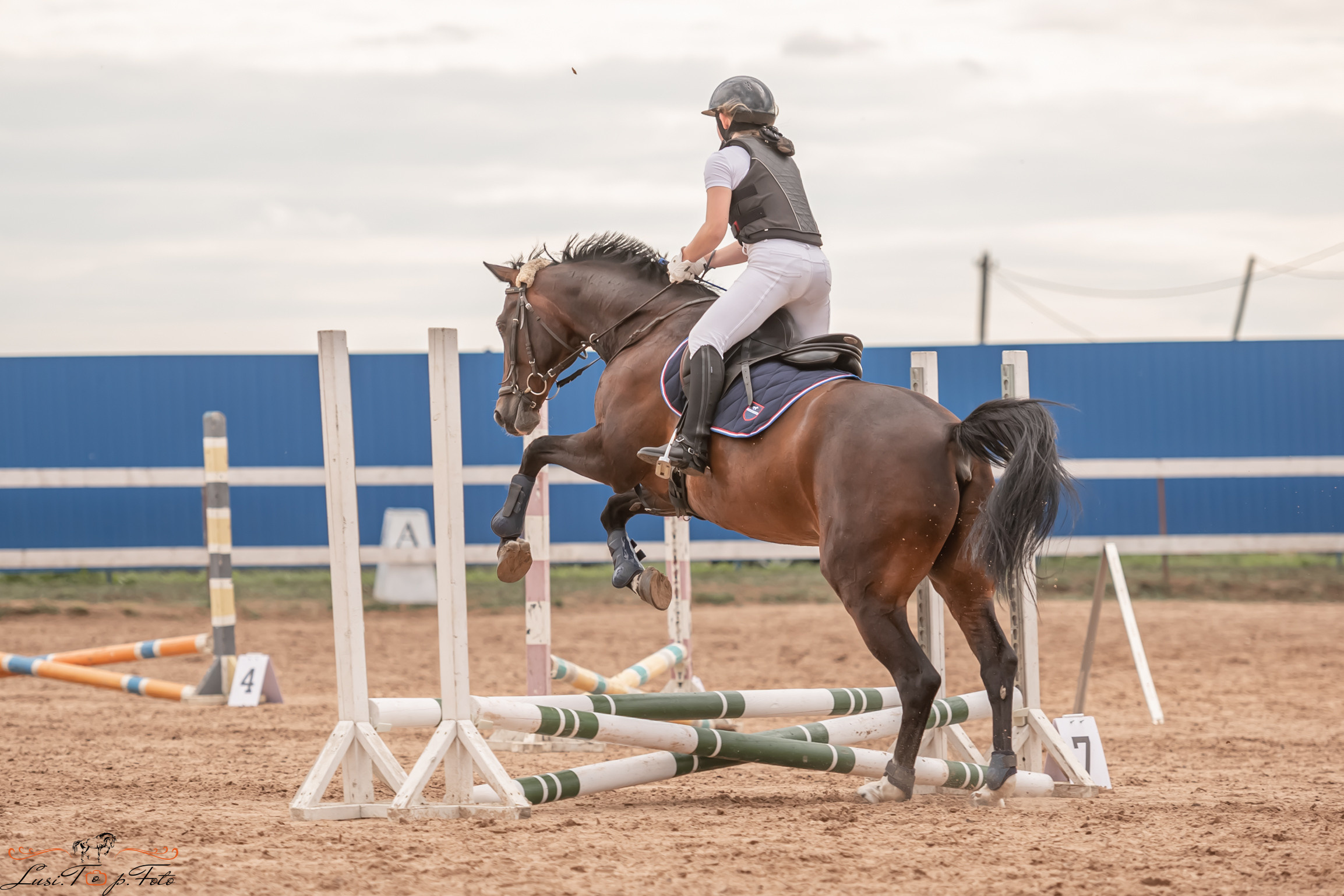 Открытая тренировка по выездке и конкуру в КК Резвая. Конный и фотограф с животными в Твери Топталова Люся