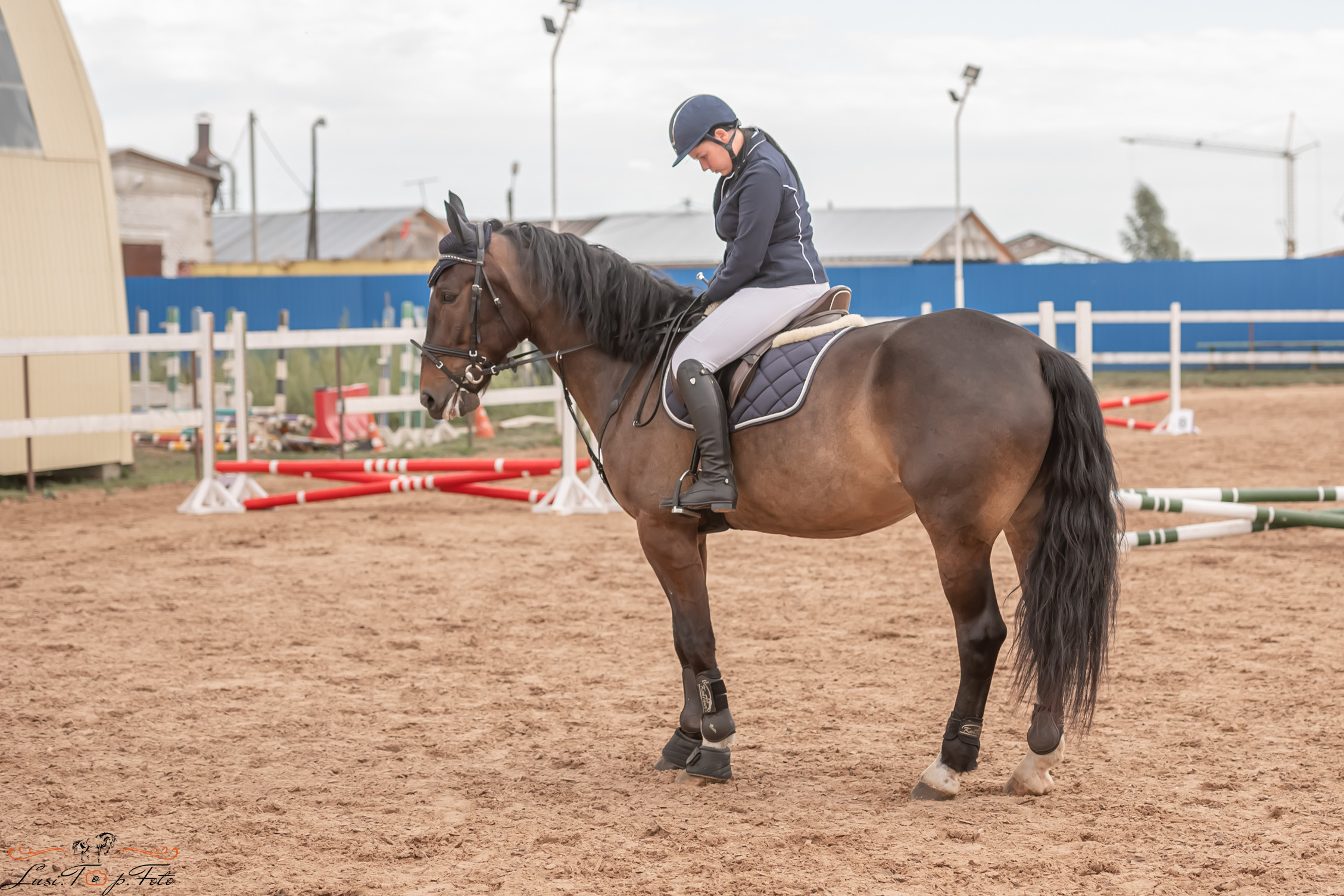 Открытая тренировка по выездке и конкуру в КК Резвая. Конный и фотограф с животными в Твери Топталова Люся