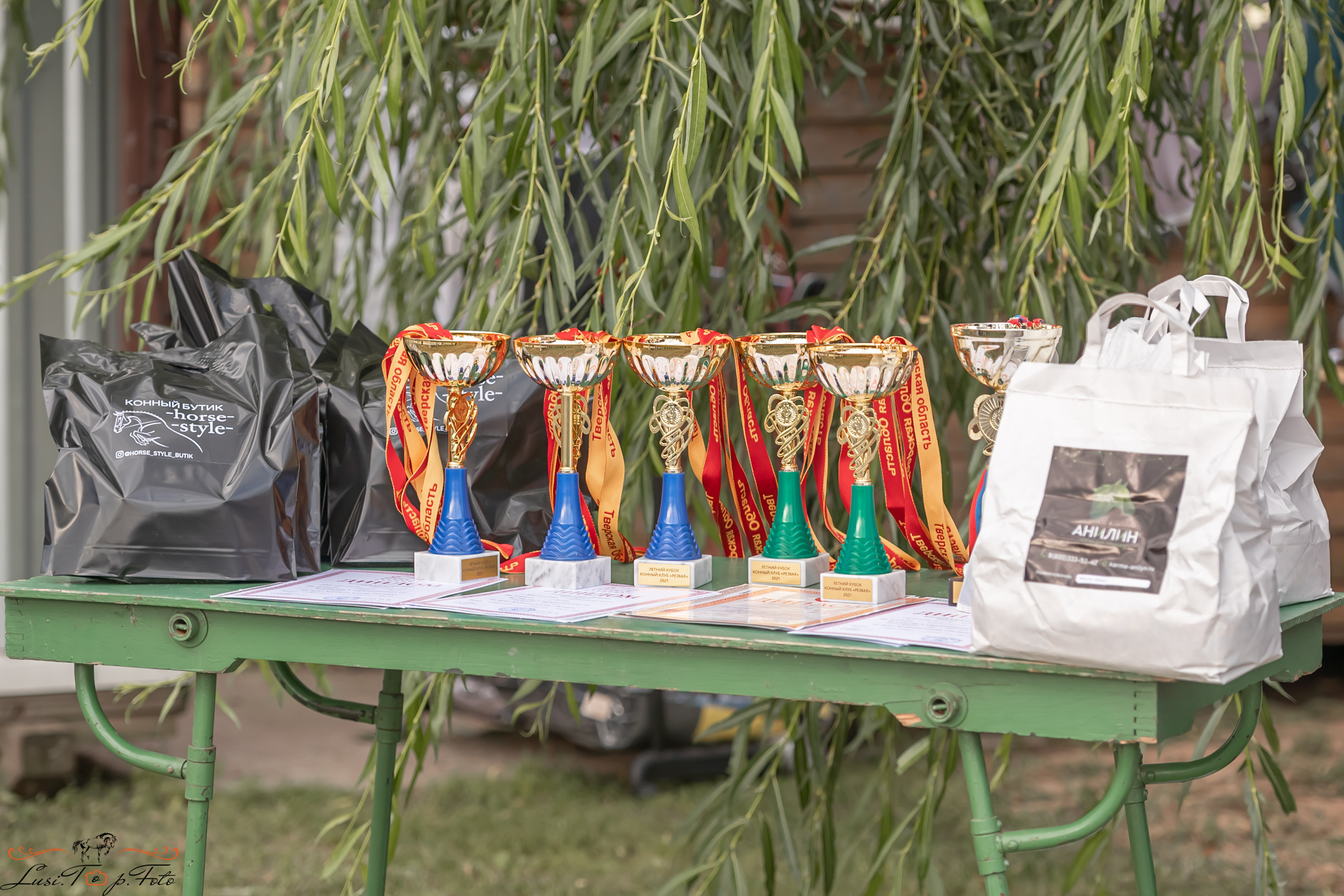 Открытая тренировка по выездке и конкуру в КК Резвая. Конный и фотограф с животными в Твери Топталова Люся