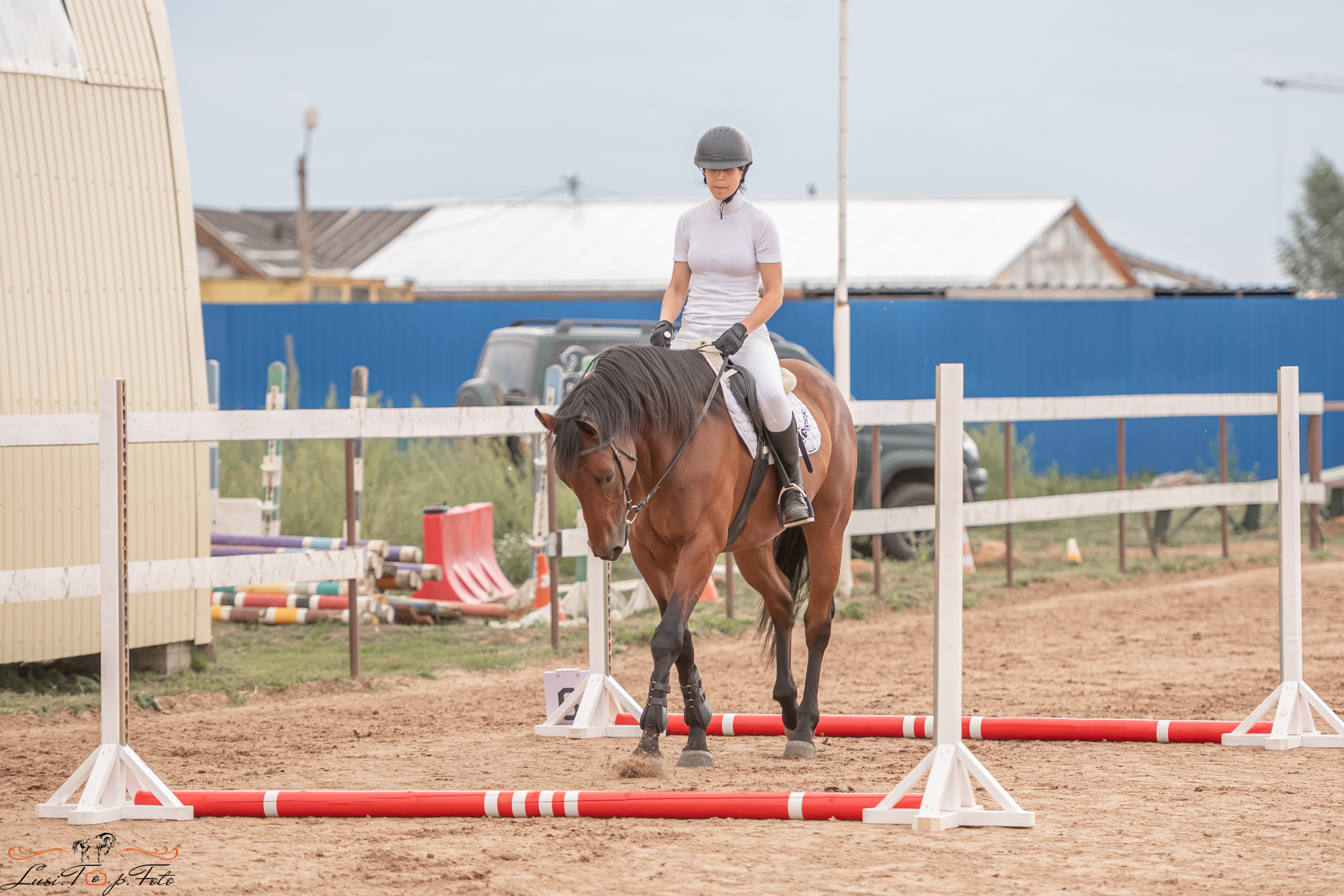Открытая тренировка по выездке и конкуру в КК Резвая. Конный и фотограф с животными в Твери Топталова Люся