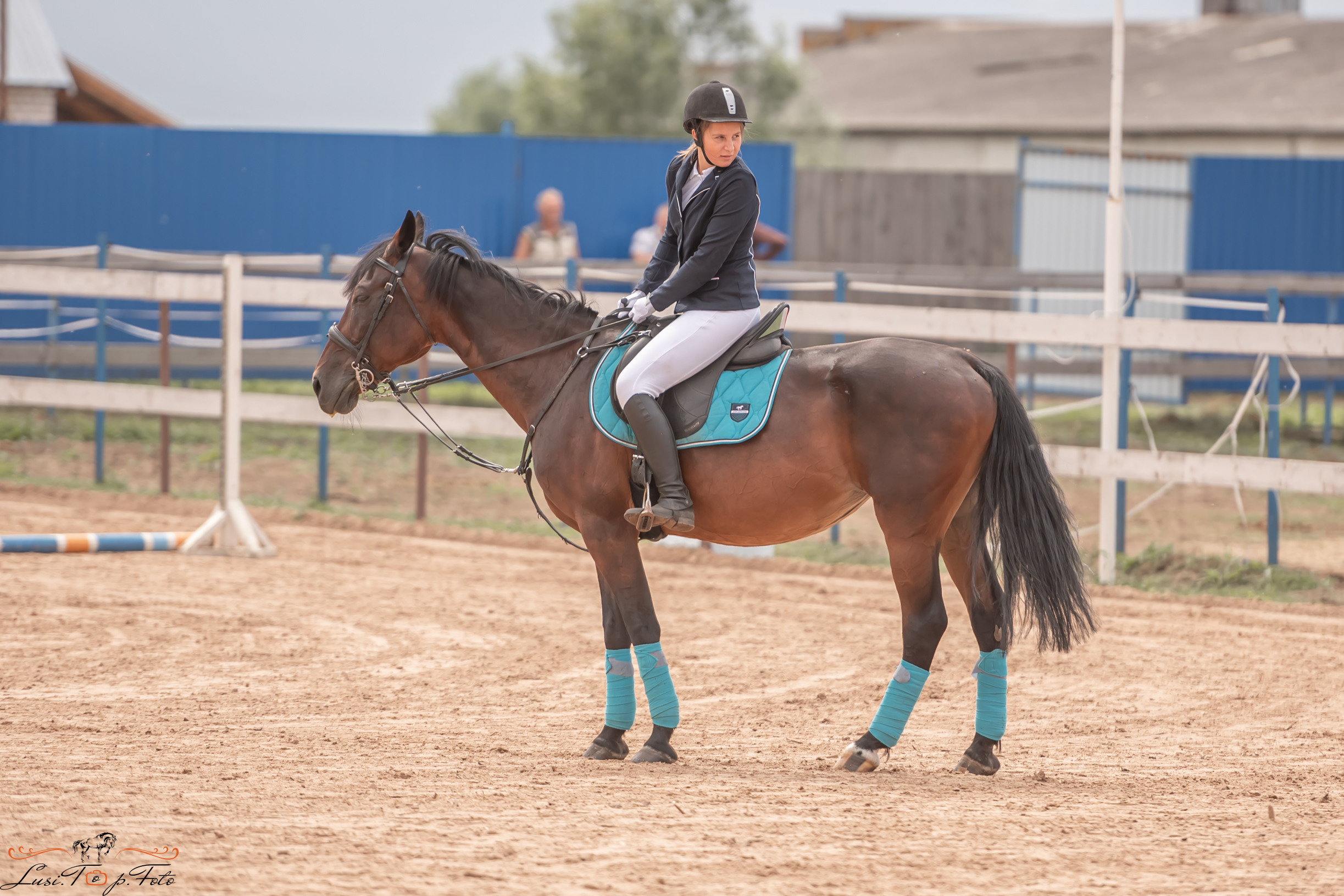 Открытая тренировка по выездке и конкуру в КК Резвая. Конный и фотограф с животными в Твери Топталова Люся