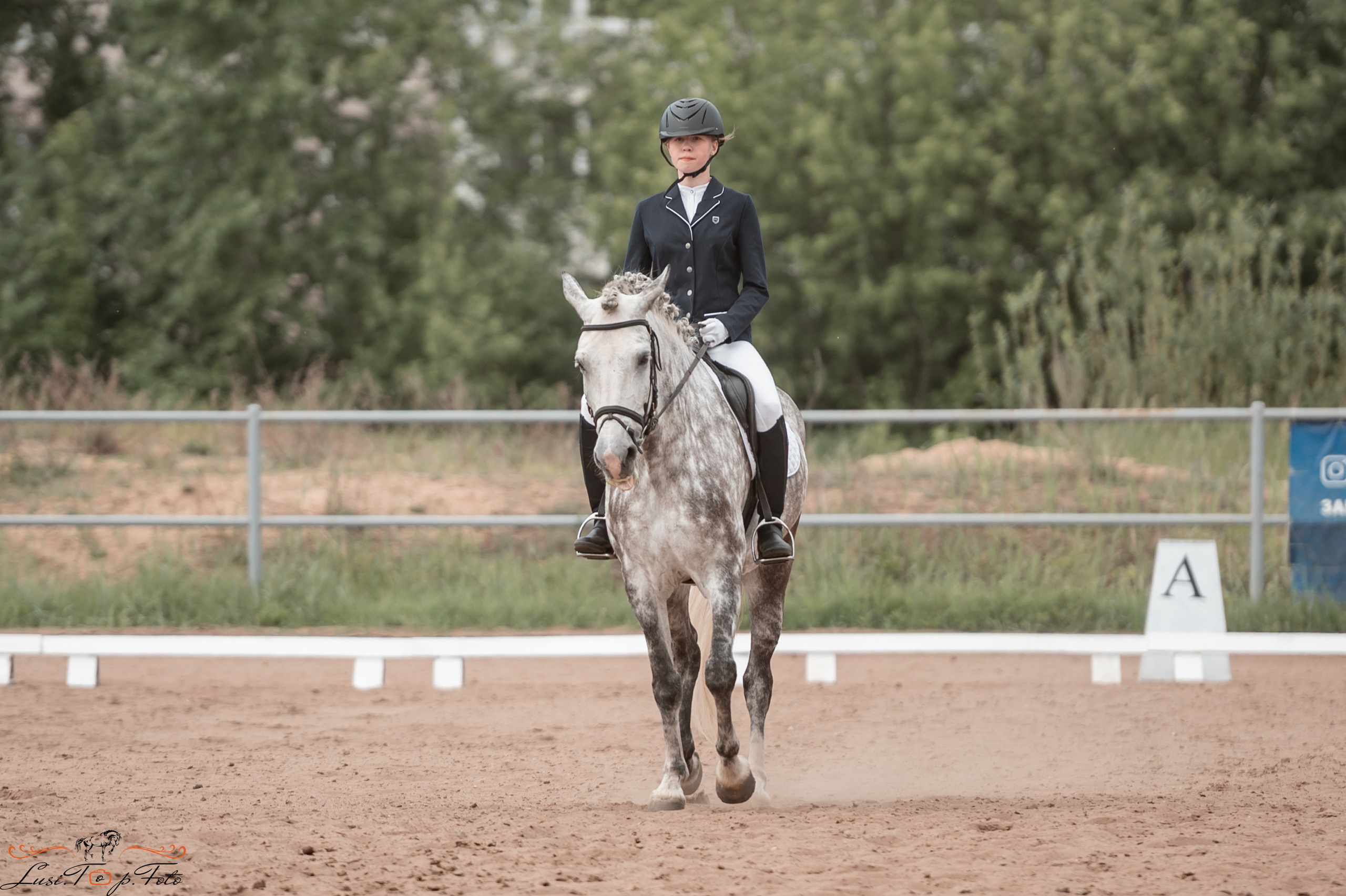 Чемпионат и первенство Тверской области по выездке. Конный и фотограф с животными в Твери Топталова Люся