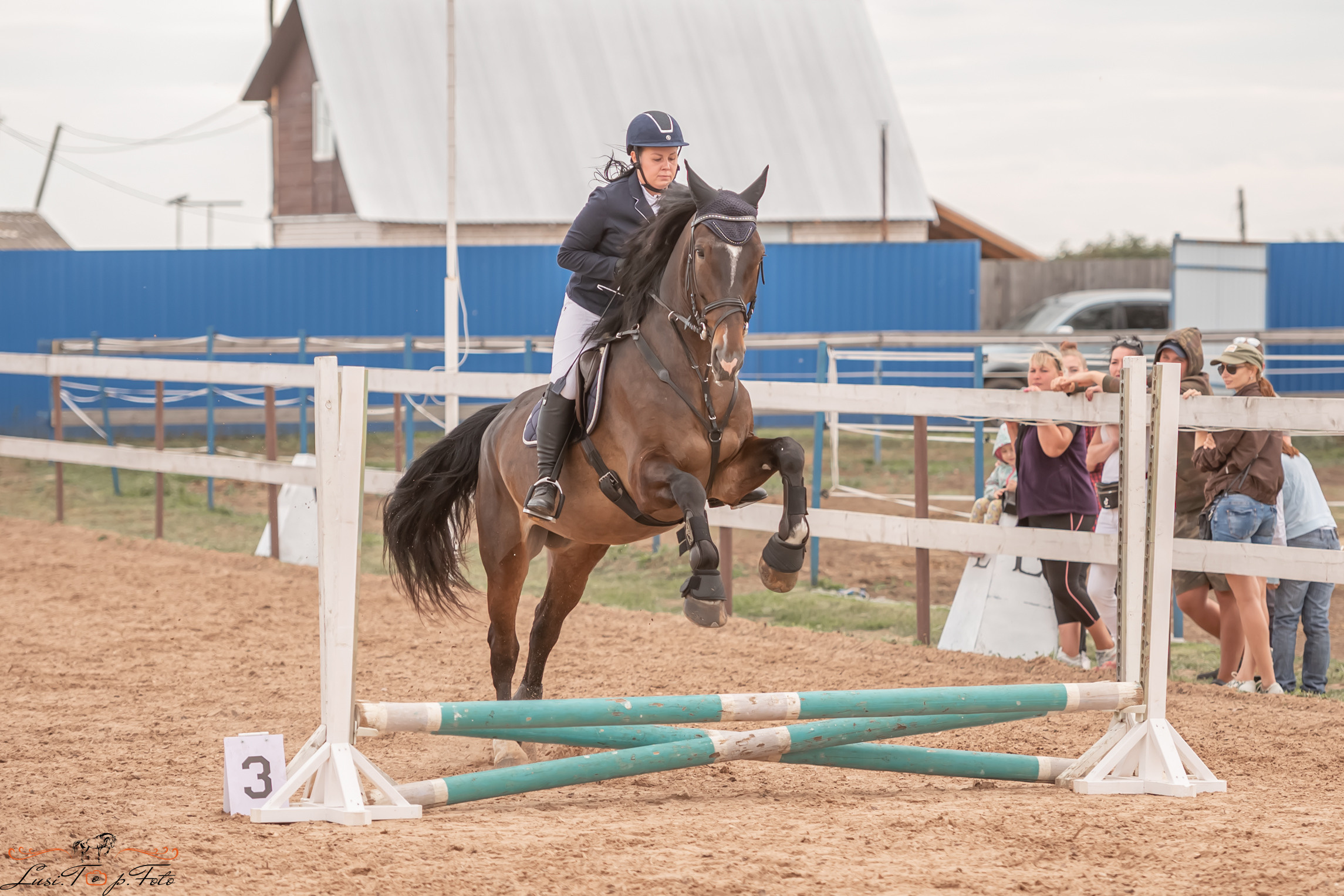 Открытая тренировка по выездке и конкуру в КК Резвая. Конный и фотограф с животными в Твери Топталова Люся