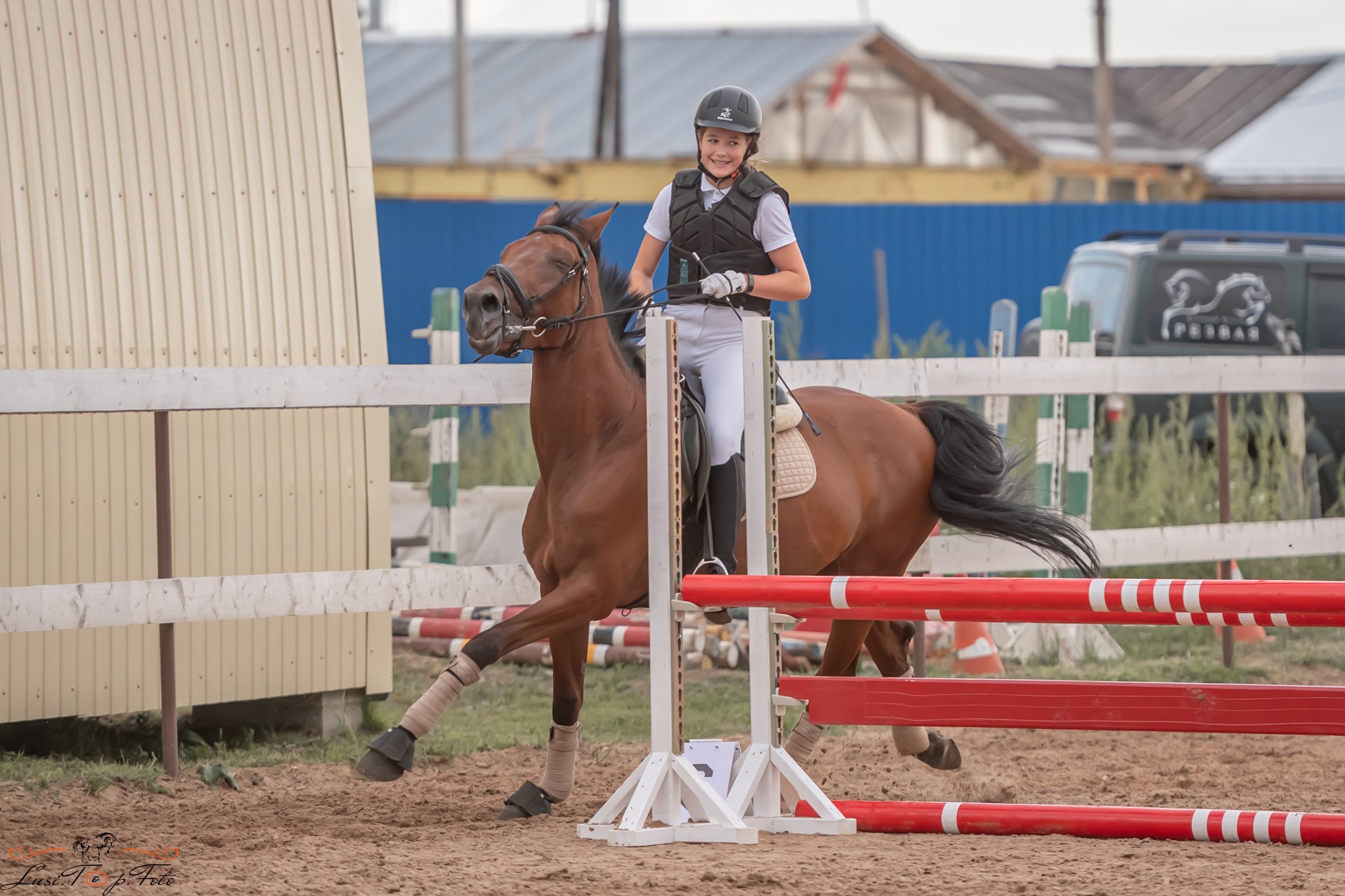 Открытая тренировка по выездке и конкуру в КК Резвая. Конный и фотограф с животными в Твери Топталова Люся