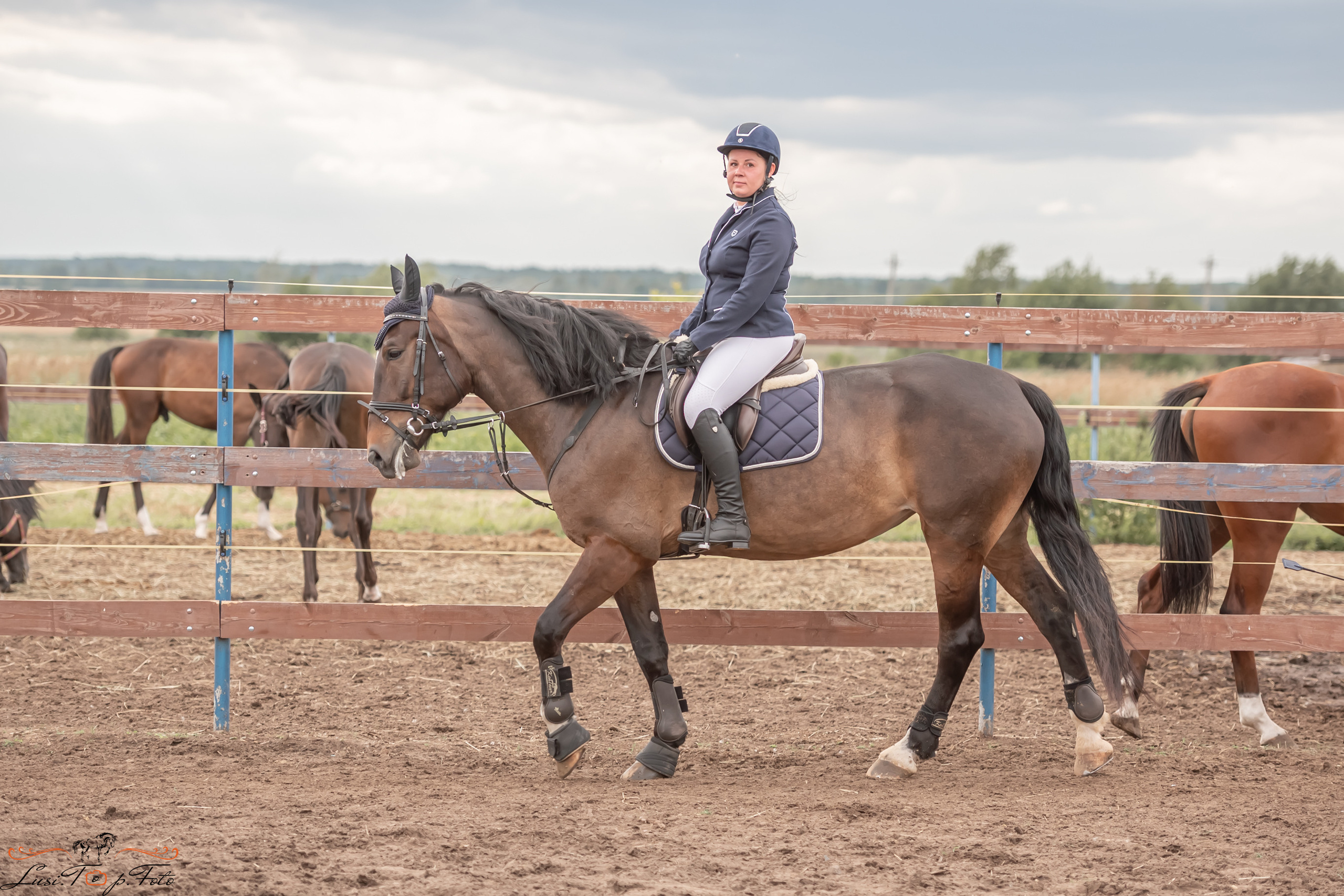 Открытая тренировка по выездке и конкуру в КК Резвая. Конный и фотограф с животными в Твери Топталова Люся