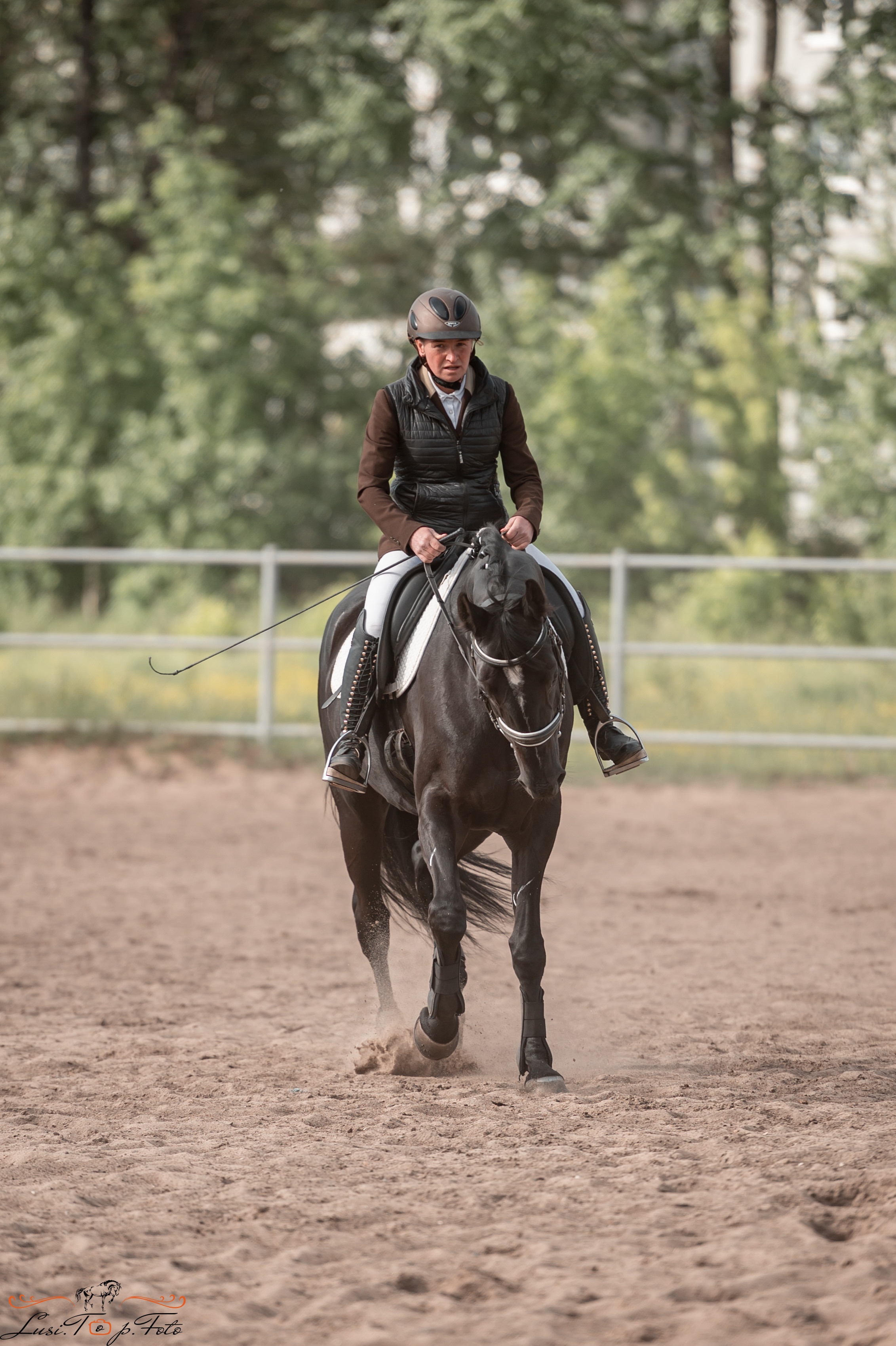 Чемпионат и первенство Тверской области по выездке. Конный и фотограф с животными в Твери Топталова Люся