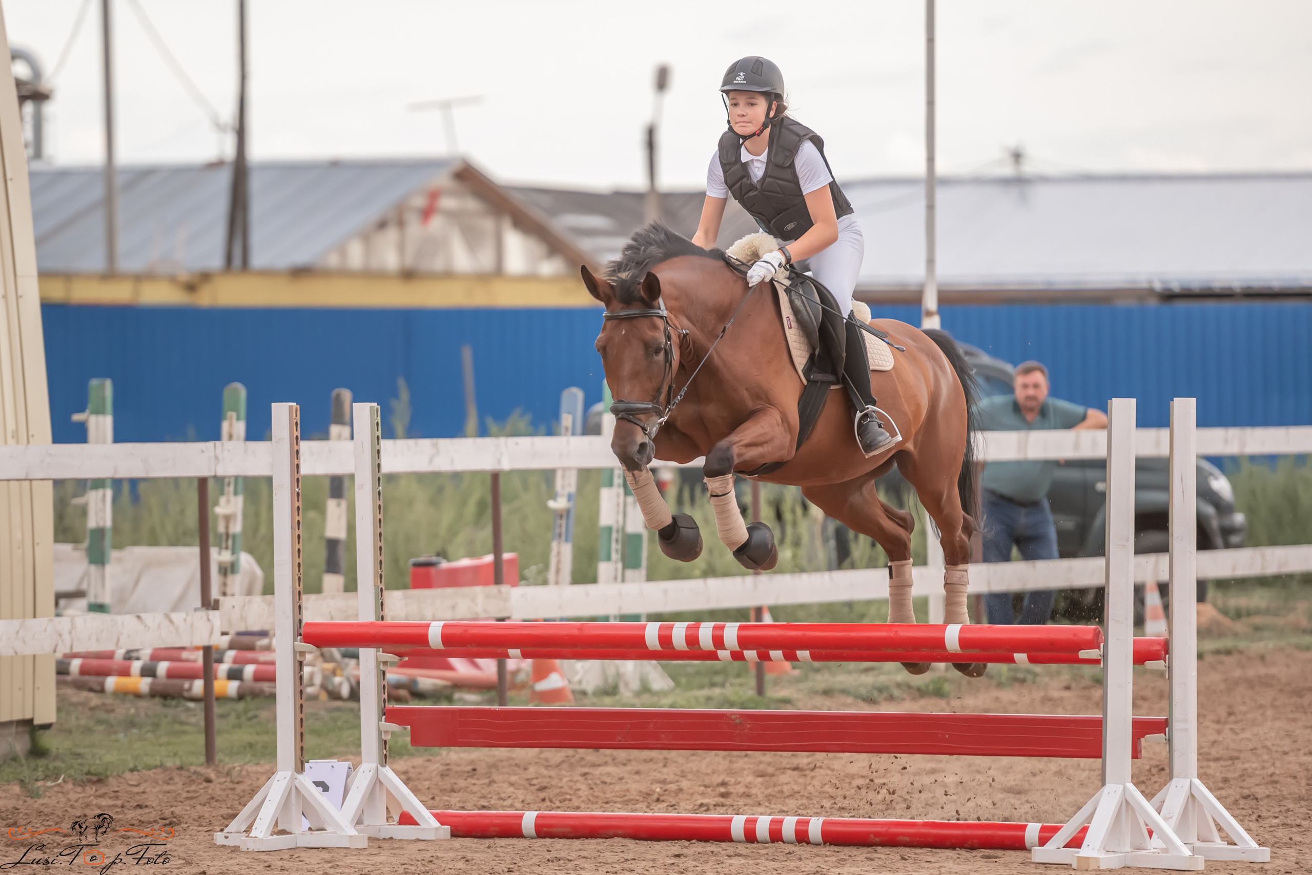 Открытая тренировка по выездке и конкуру в КК Резвая. Конный и фотограф с животными в Твери Топталова Люся