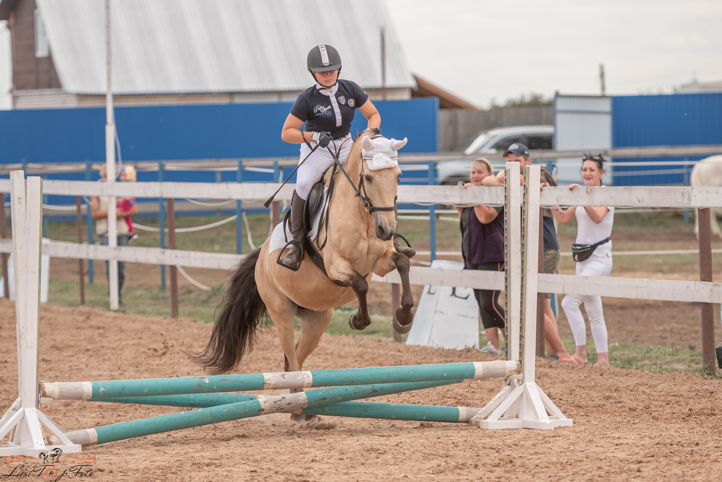 Открытая тренировка по выездке и конкуру в КК Резвая. Конный и фотограф с животными в Твери Топталова Люся