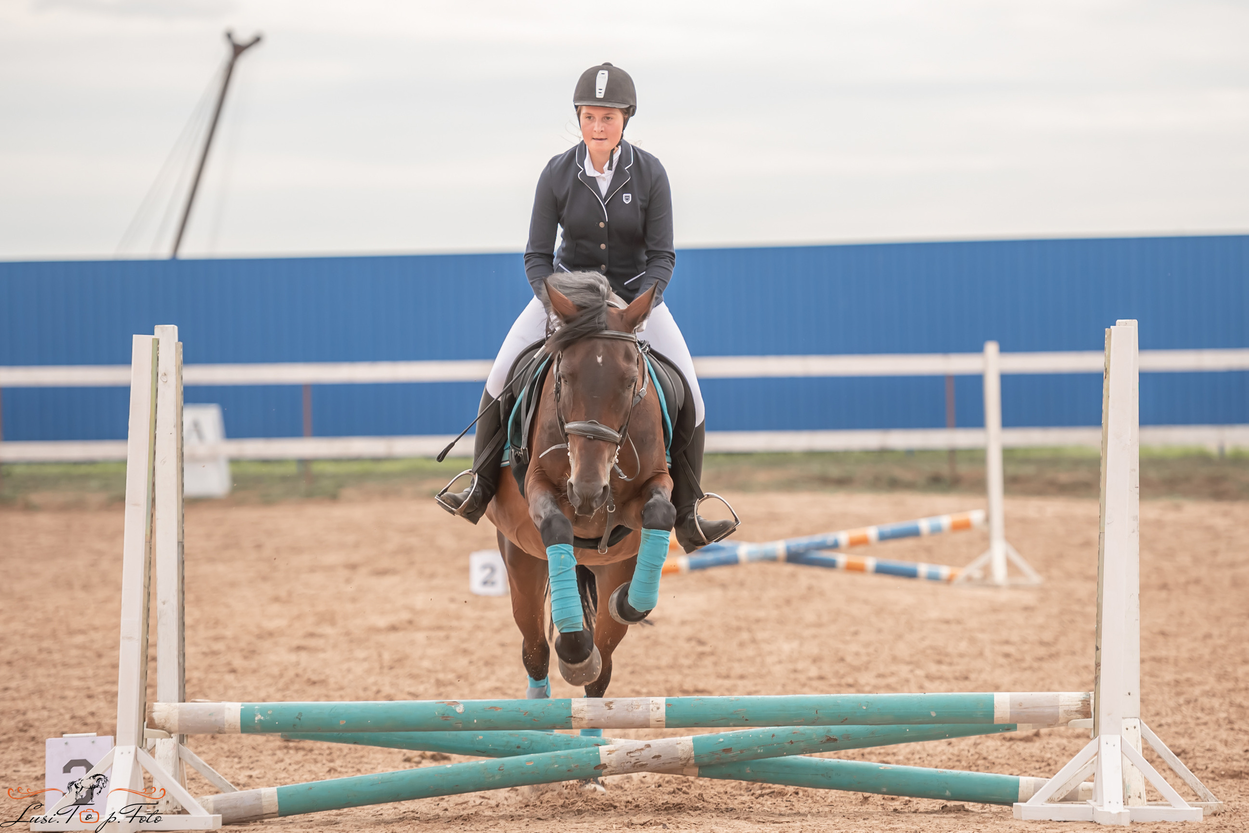 Открытая тренировка по выездке и конкуру в КК Резвая. Конный и фотограф с животными в Твери Топталова Люся