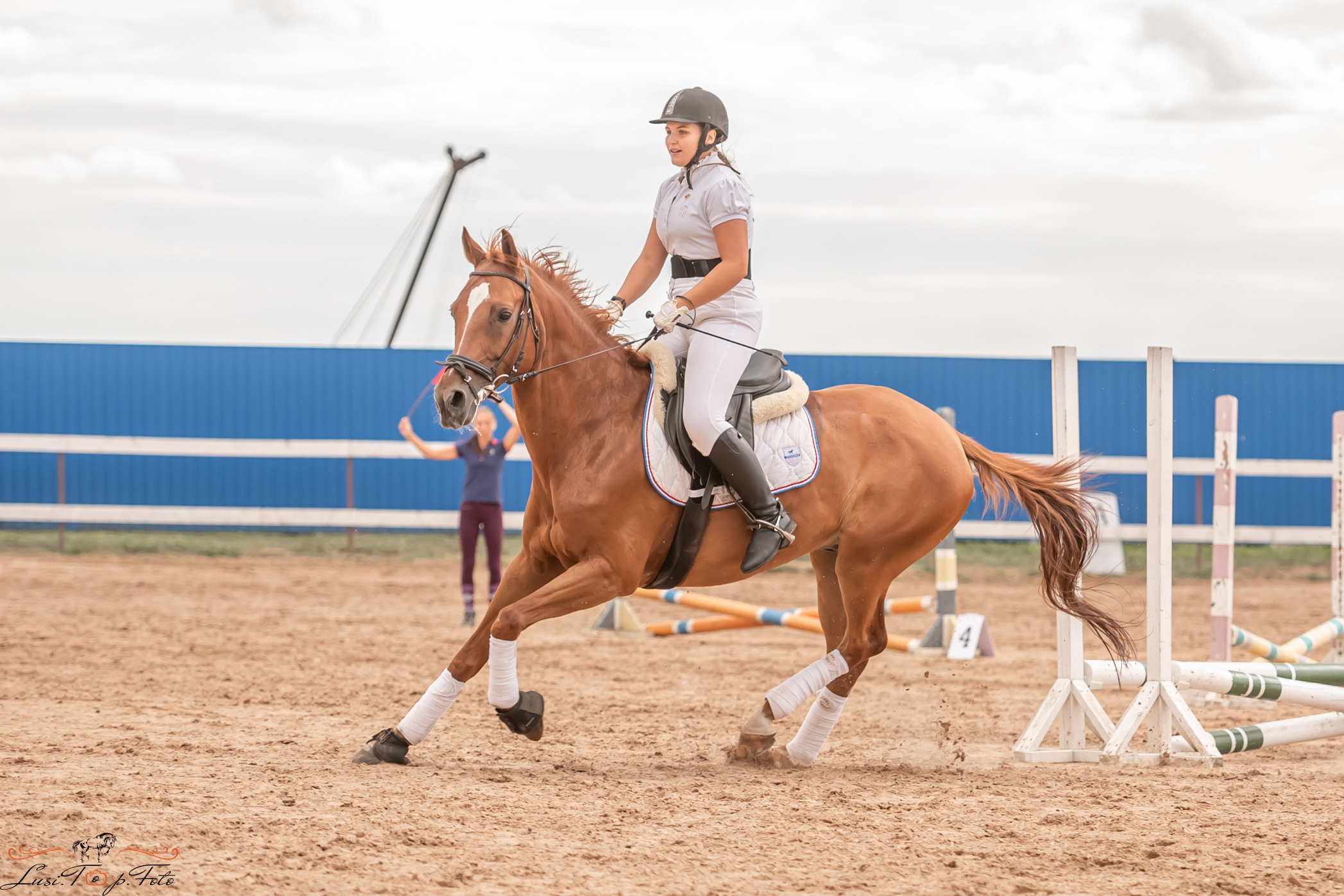Открытая тренировка по выездке и конкуру в КК Резвая. Конный и фотограф с животными в Твери Топталова Люся