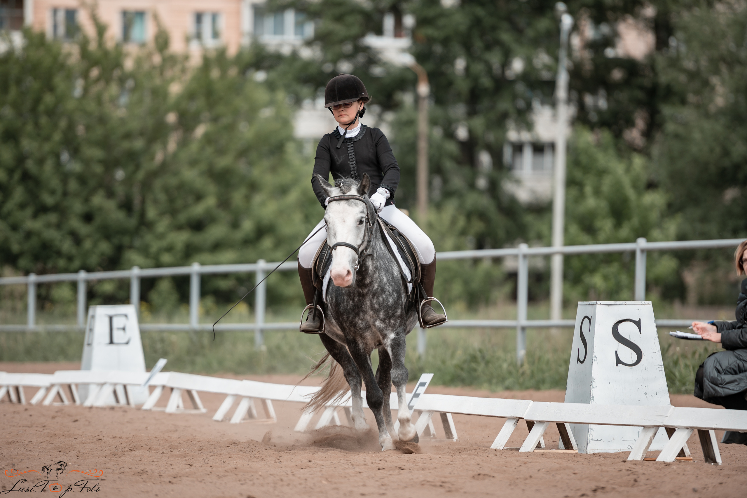 Чемпионат и первенство Тверской области по выездке. Конный и фотограф с животными в Твери Топталова Люся